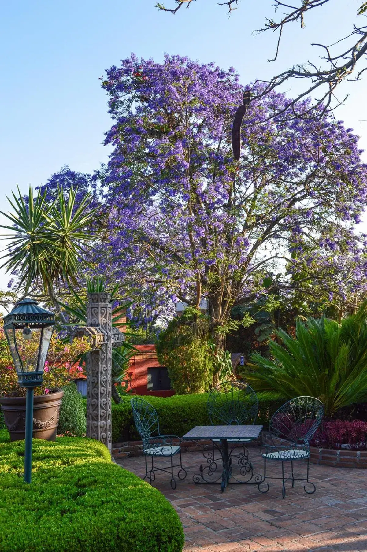 Garden view in Villa Montaña Hotel & Spa