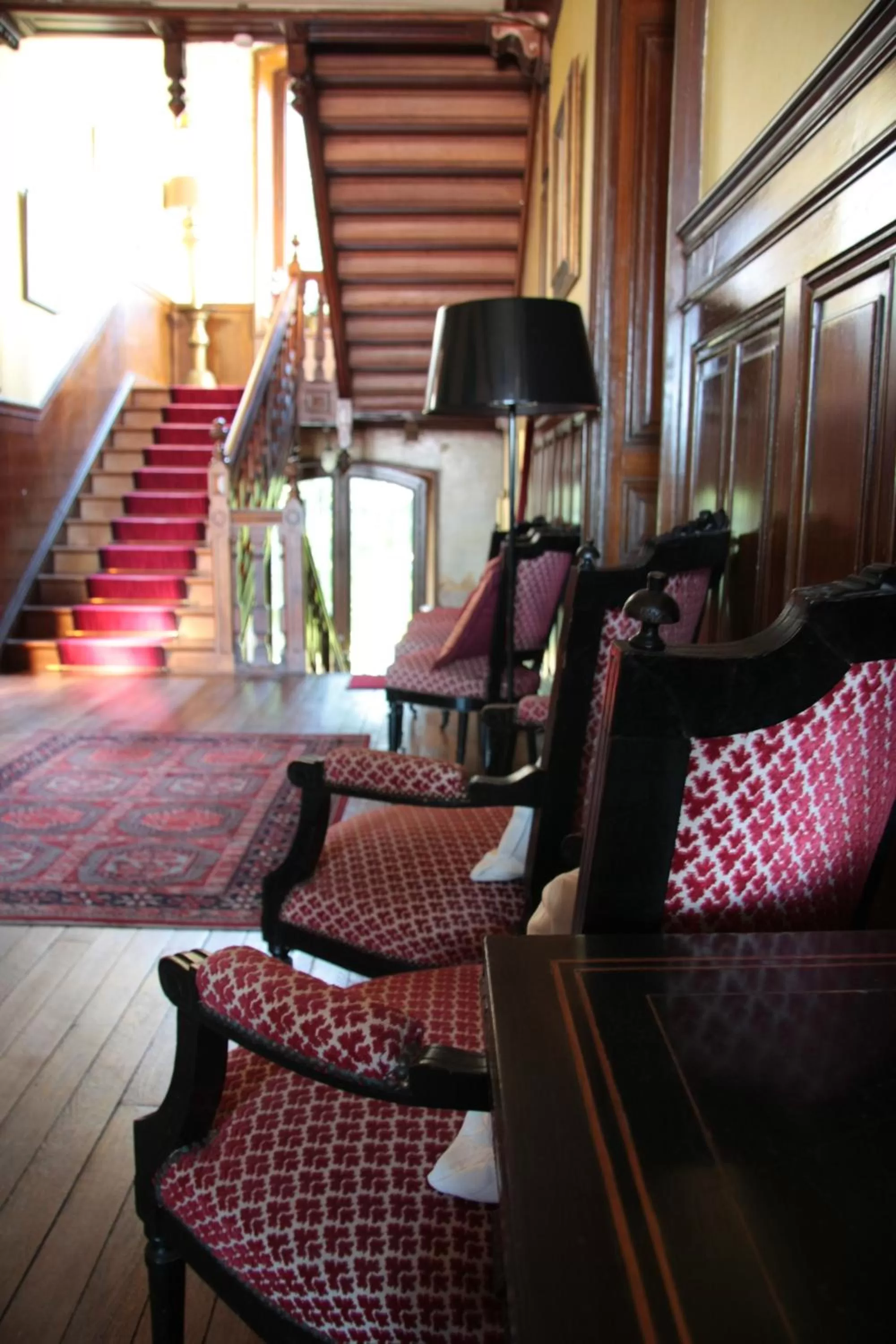 Lounge or bar in Villa Primerose