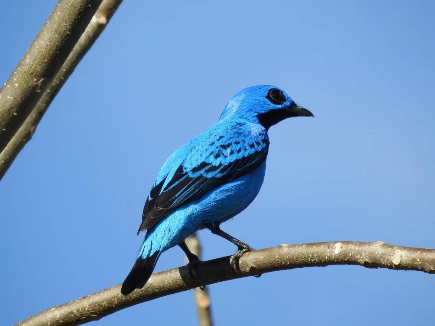 Off site in Hotel Zima