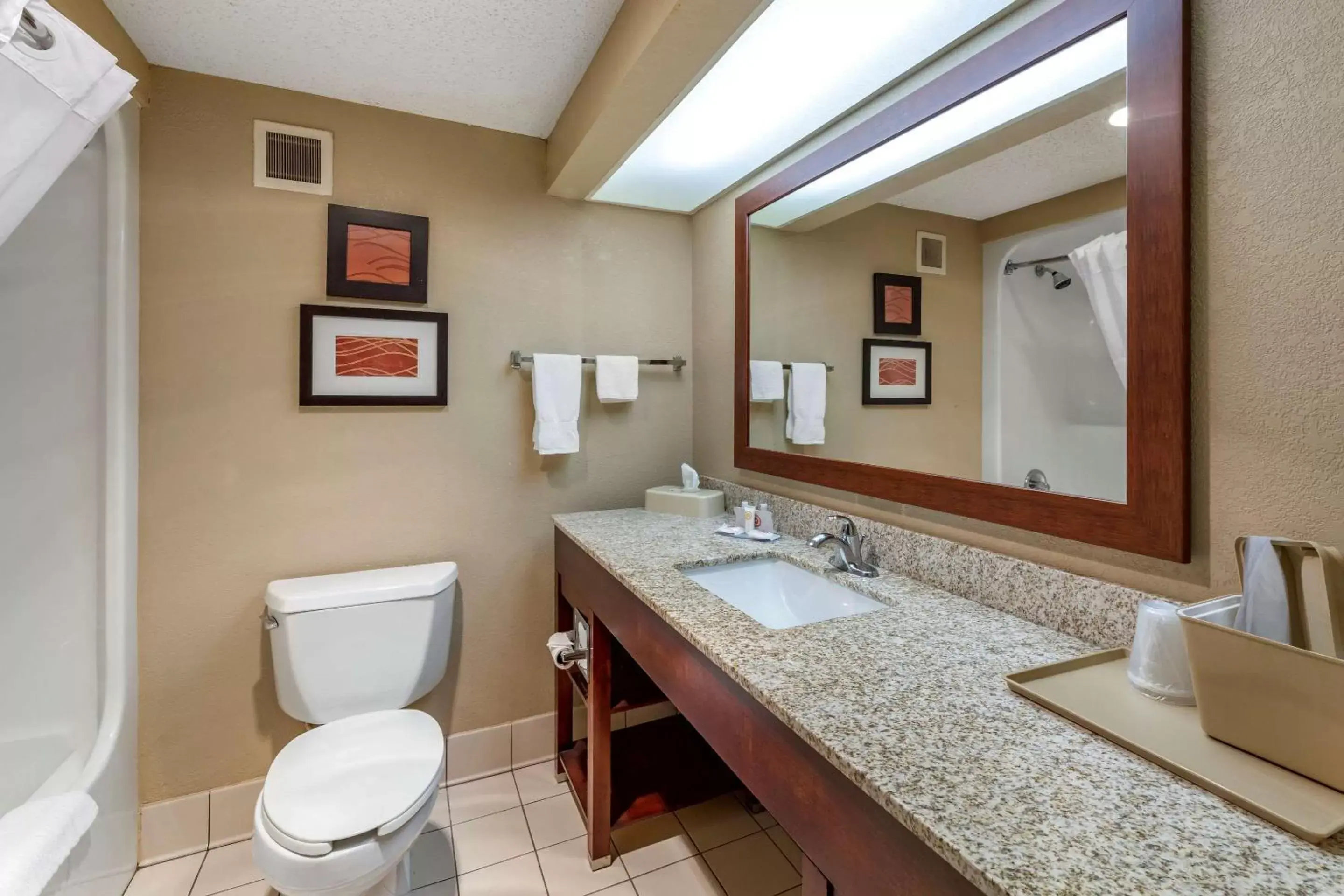 Bathroom in Comfort Inn Alliance