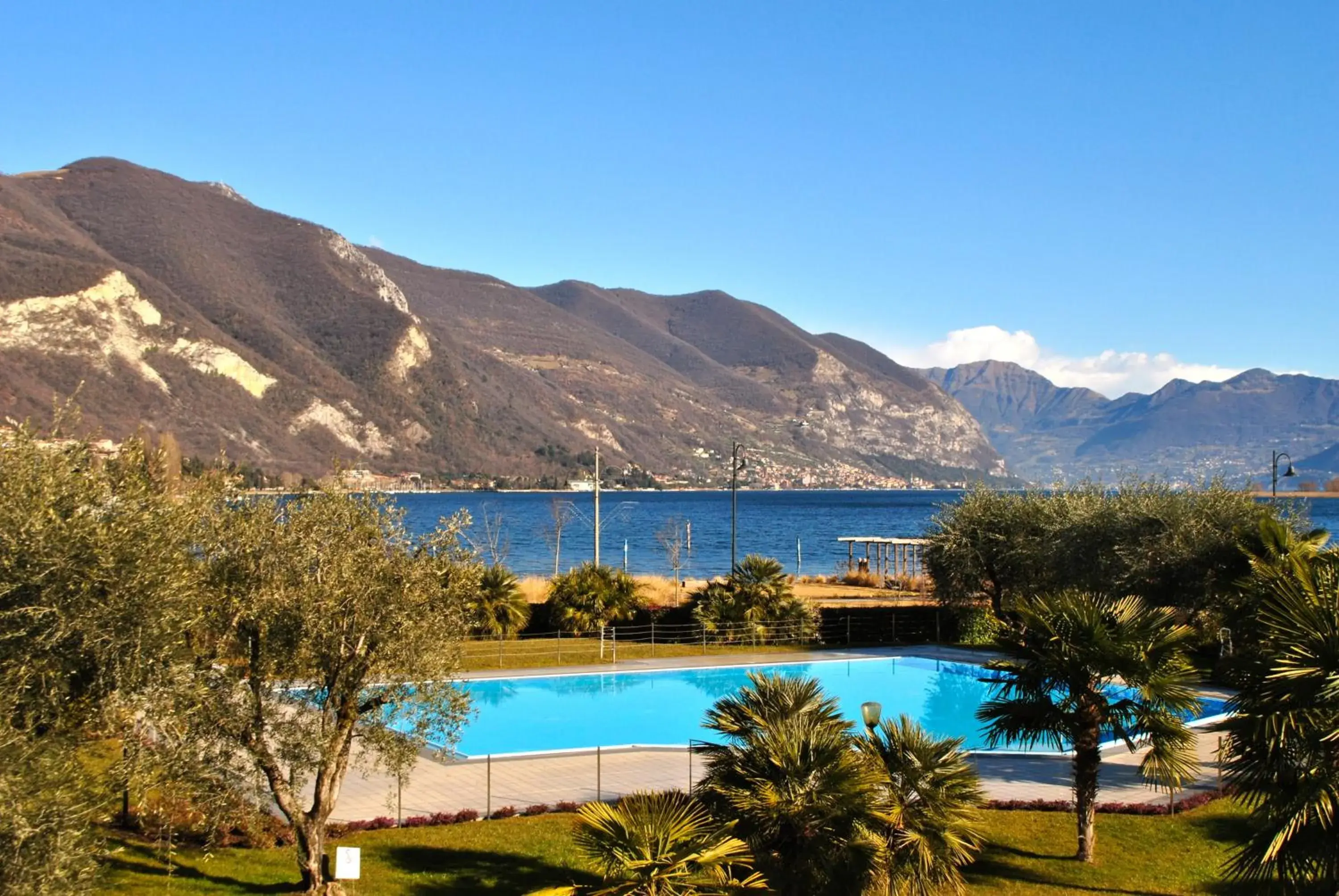 Garden, Swimming Pool in Hotel Ulivi