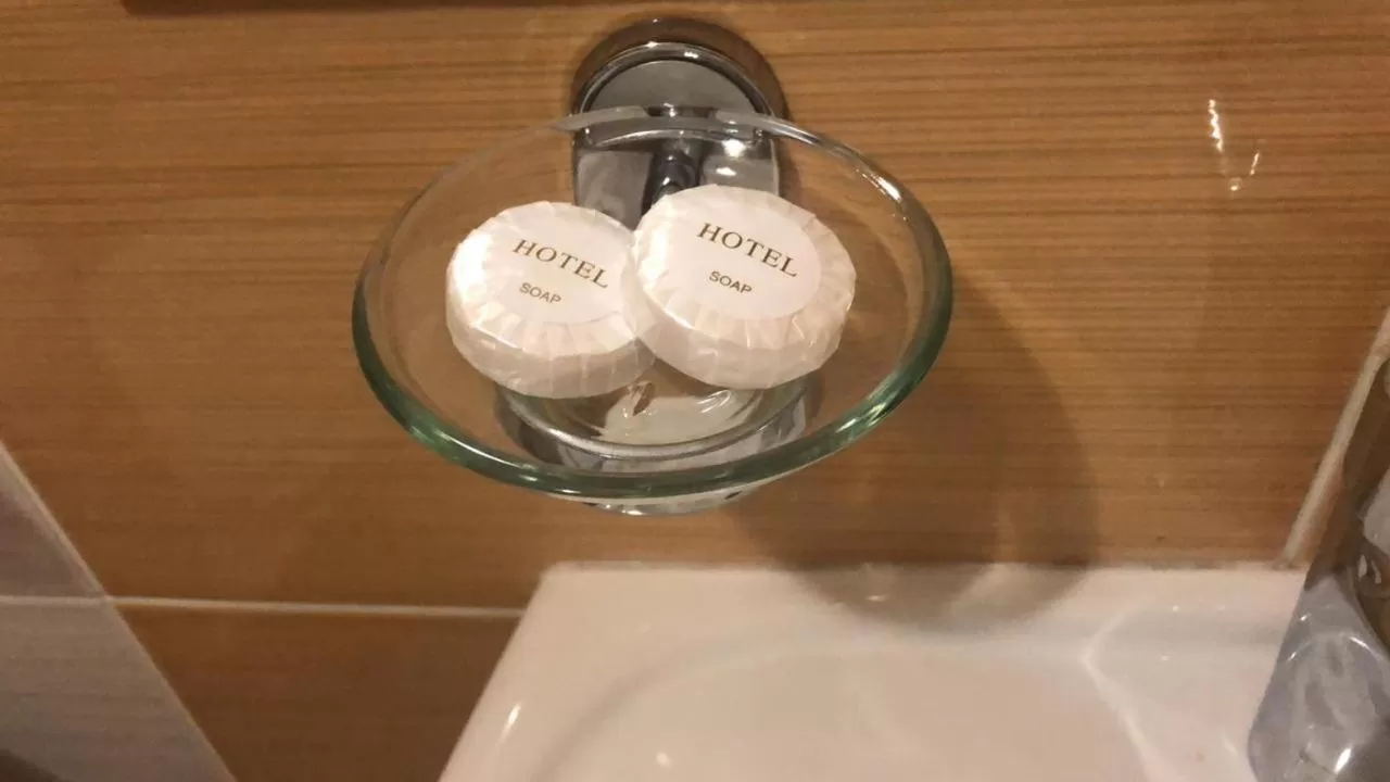 Altai Business Hotel