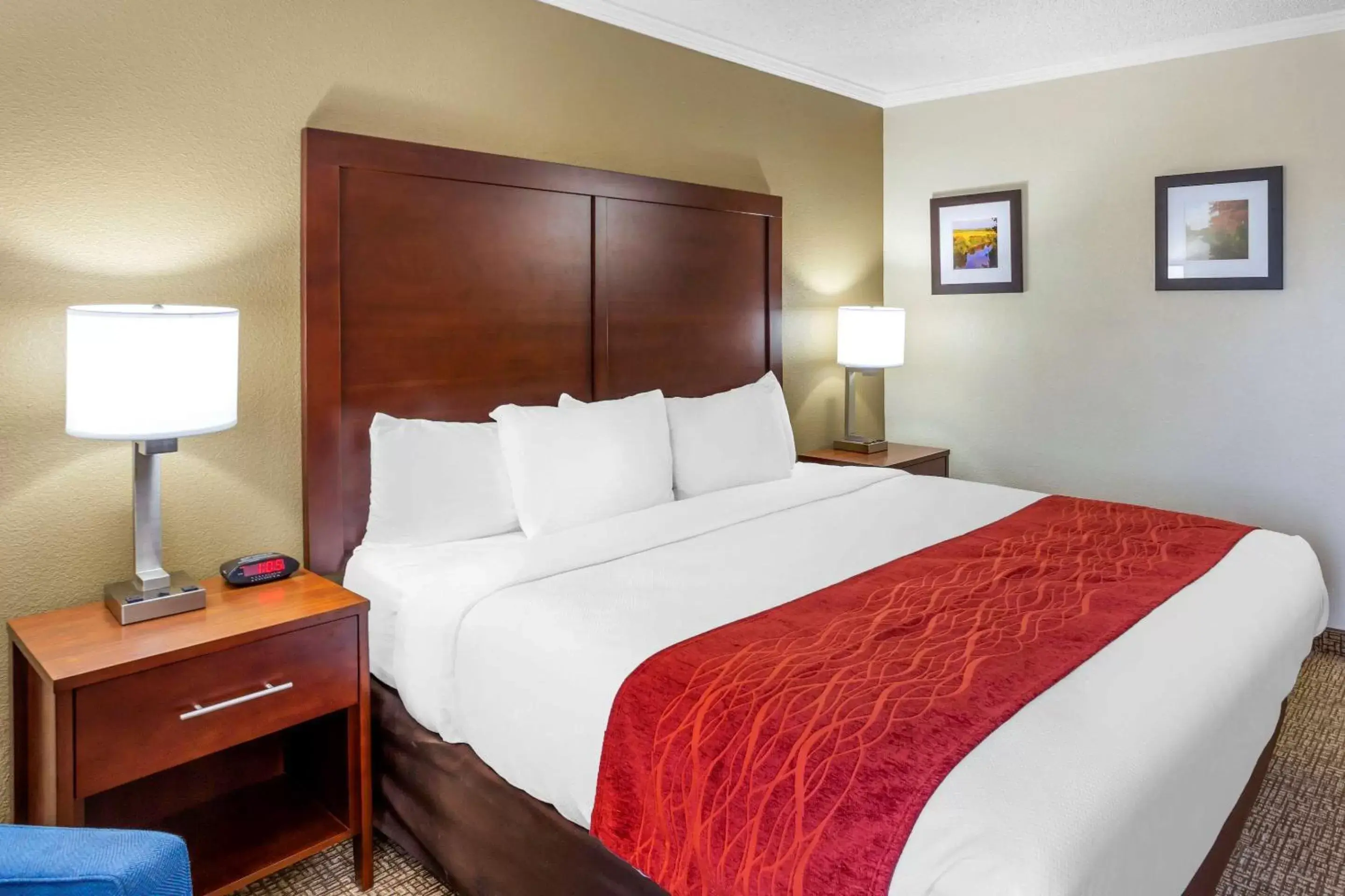 Photo of the whole room, Bed in Comfort Inn Hoffman Estates – Schaumburg