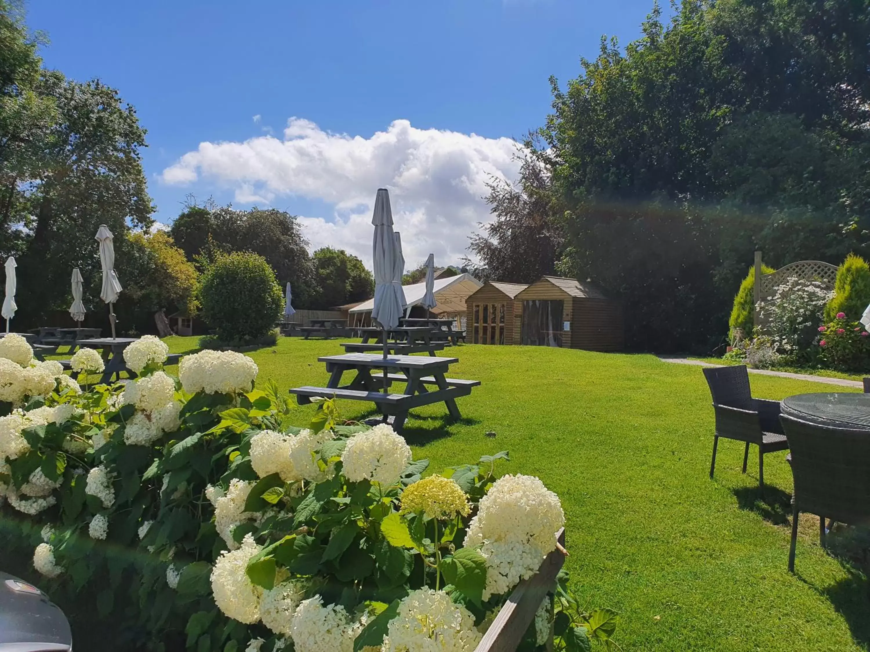 Garden in Dragon Inn