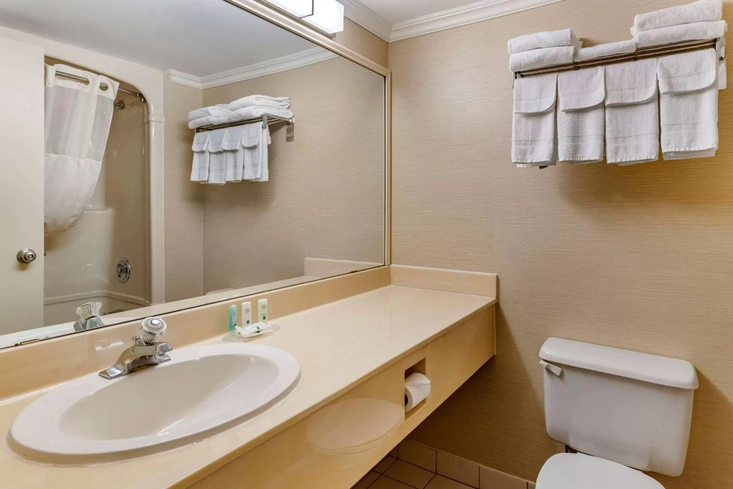 Bathroom in Quality Inn & Suites Garden of the Gulf