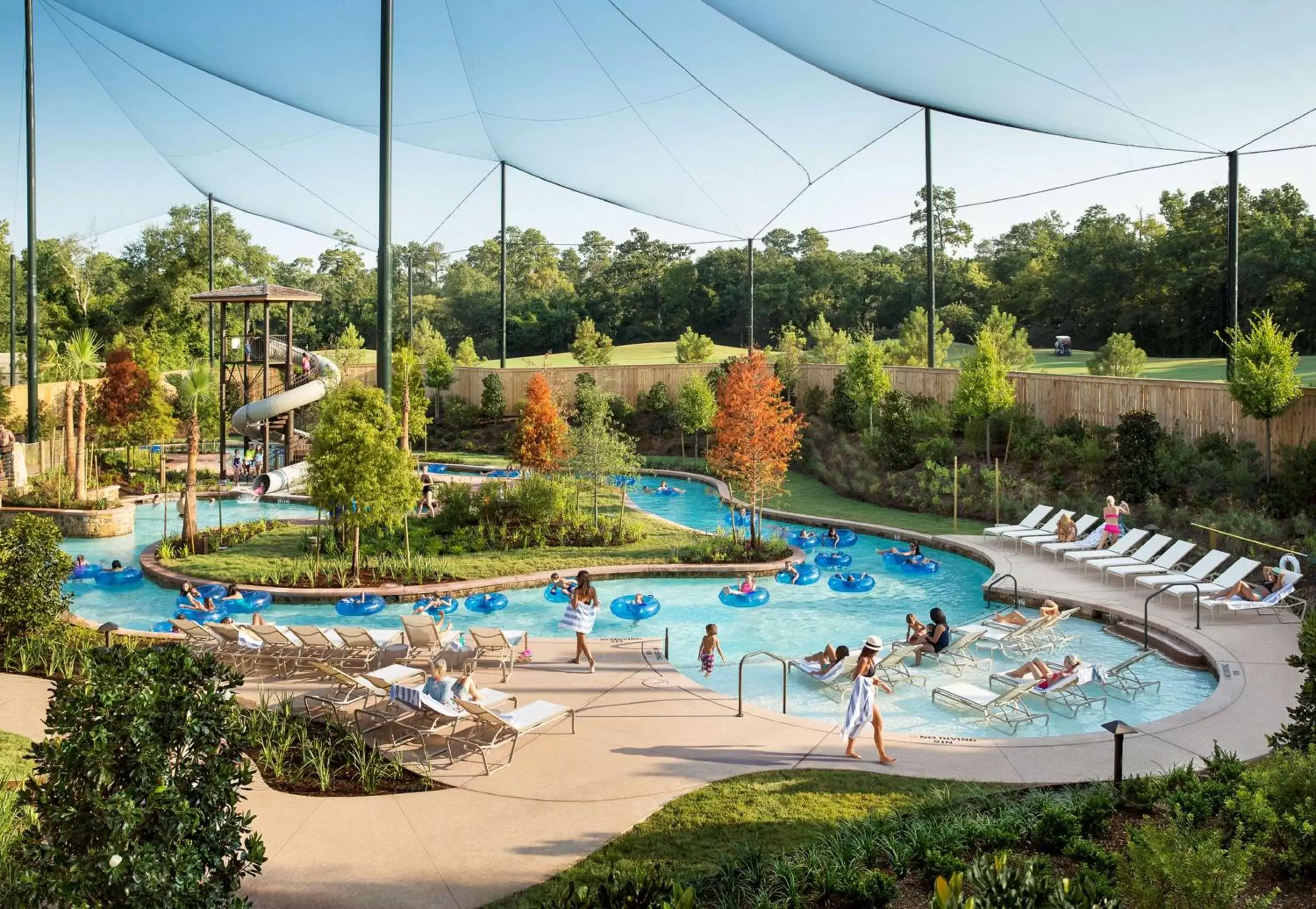 Pool view, Swimming Pool in The Woodlands Resort, Curio Collection by Hilton