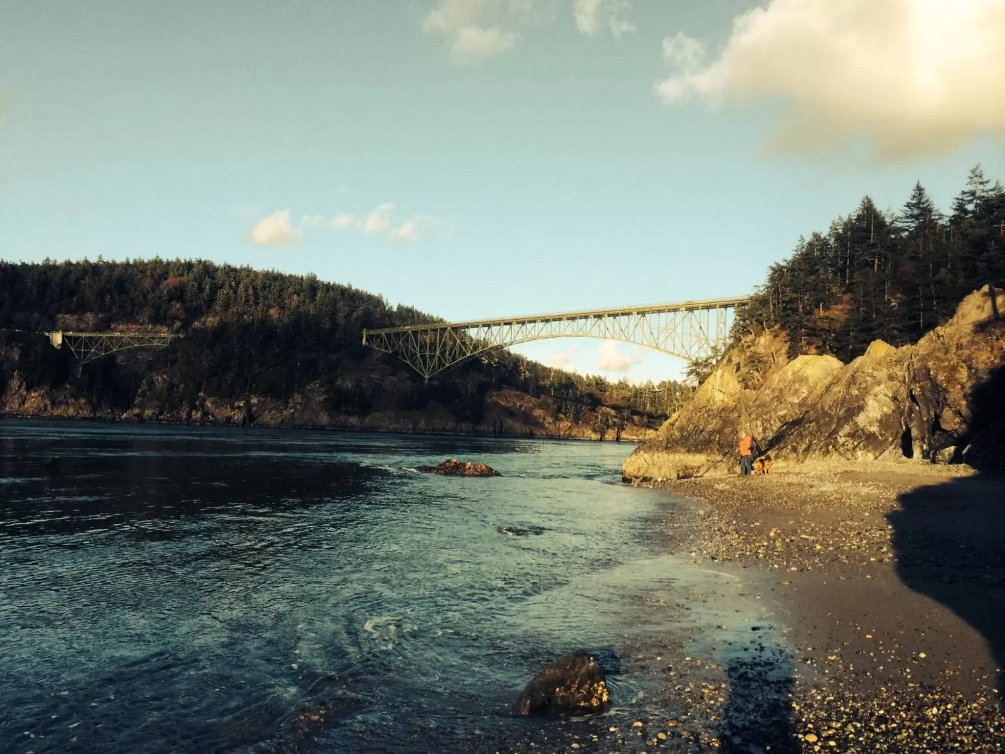 Natural landscape in The Bluff on Whidbey