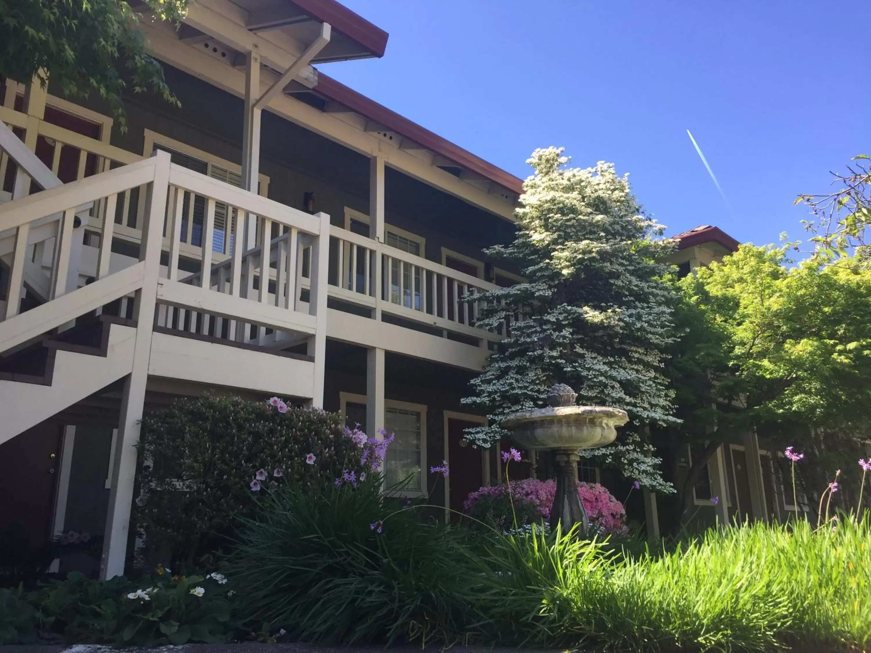 Property Building in The Jack London Lodge