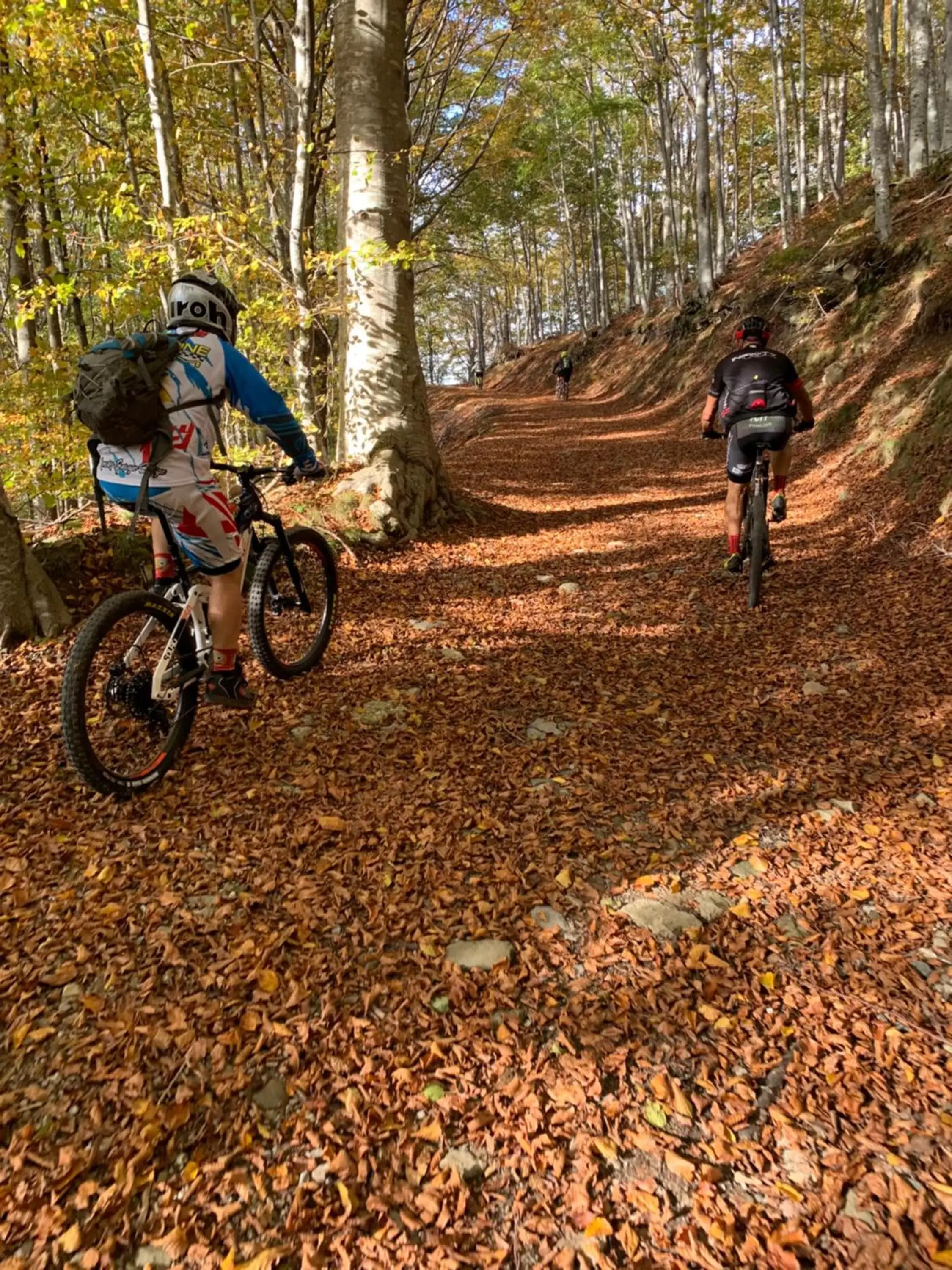 Cycling, Biking in Albergo Ristorante La Torretta