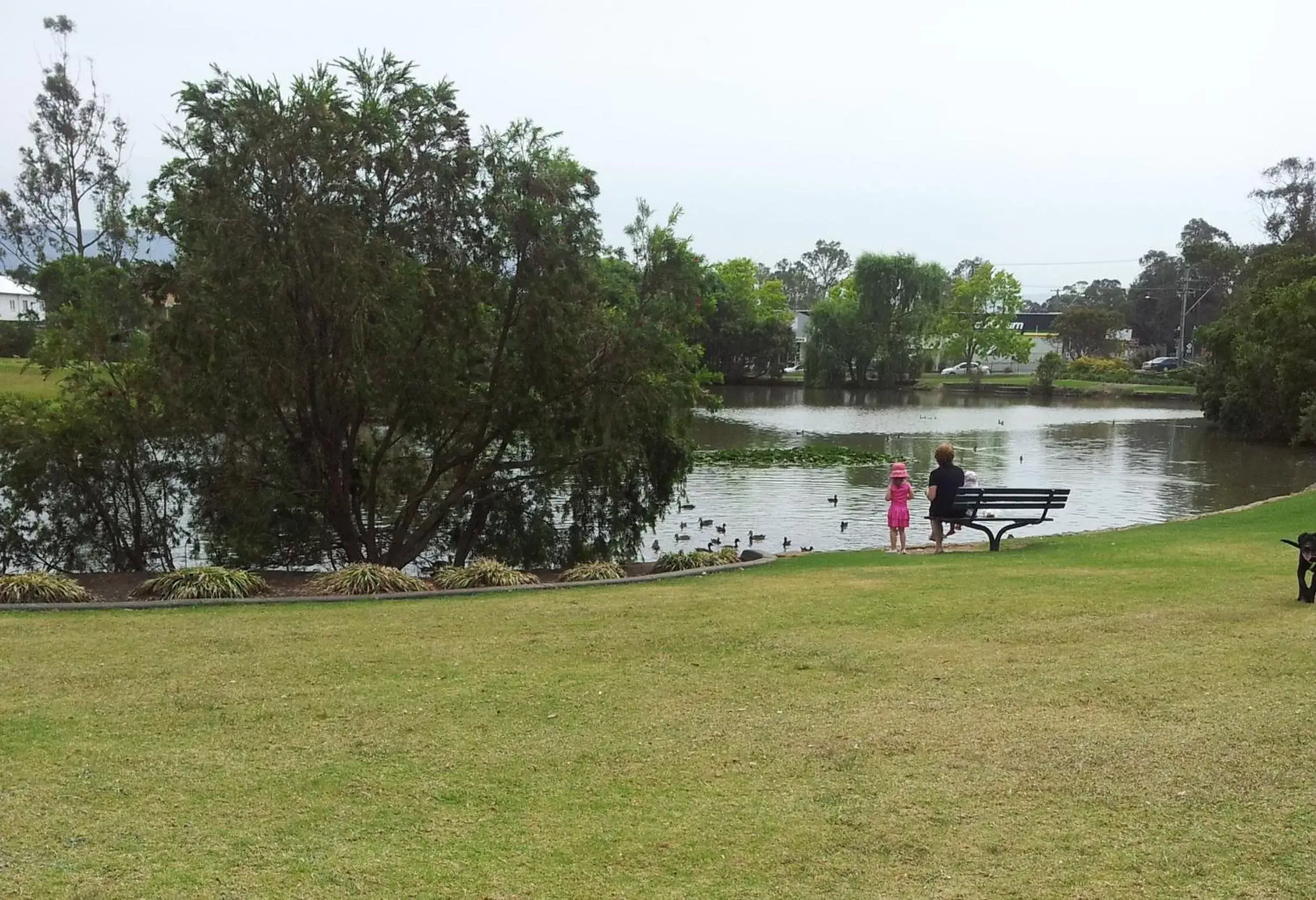 Natural landscape, Garden in Marriott Park Motel