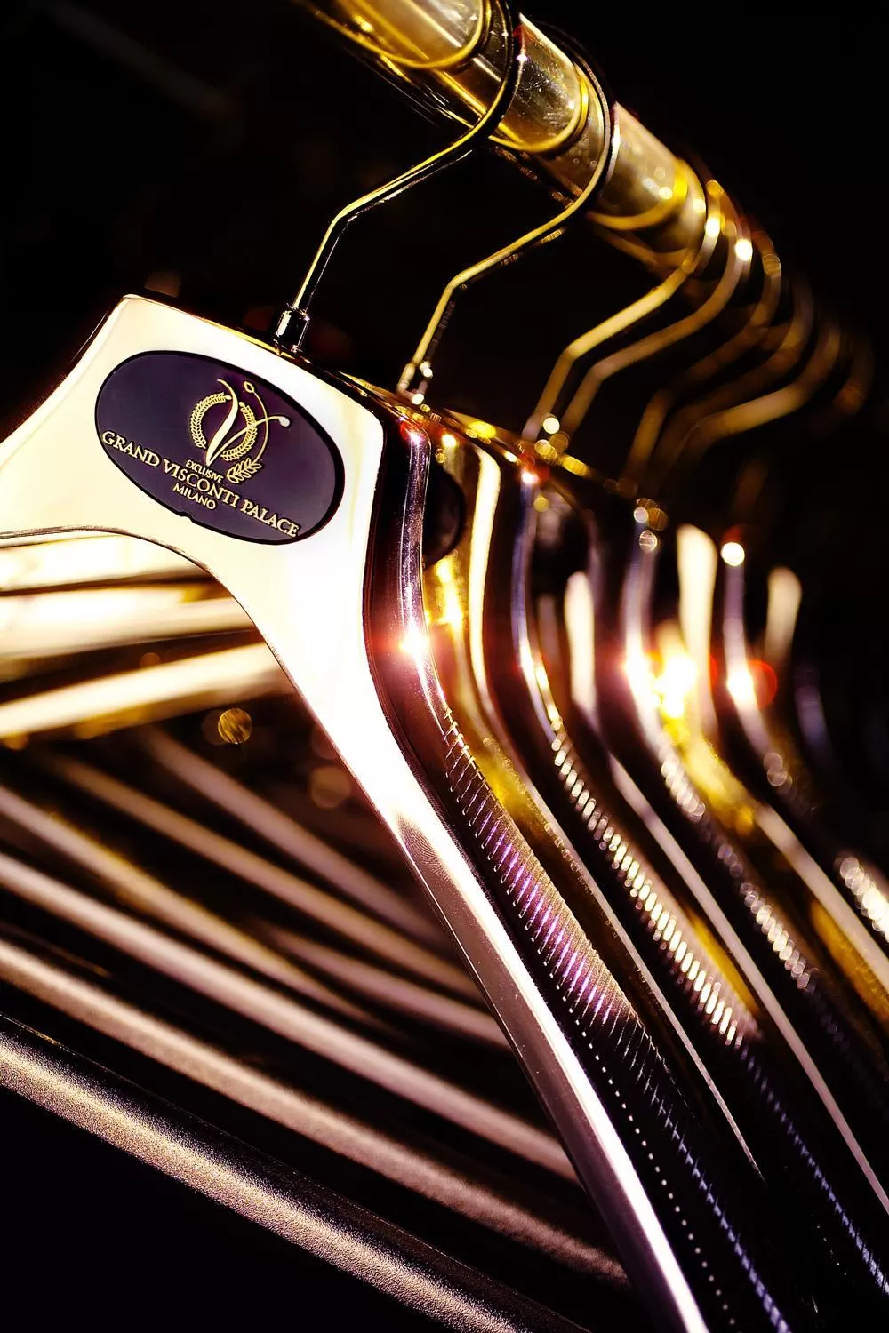 Other in Grand Visconti Palace