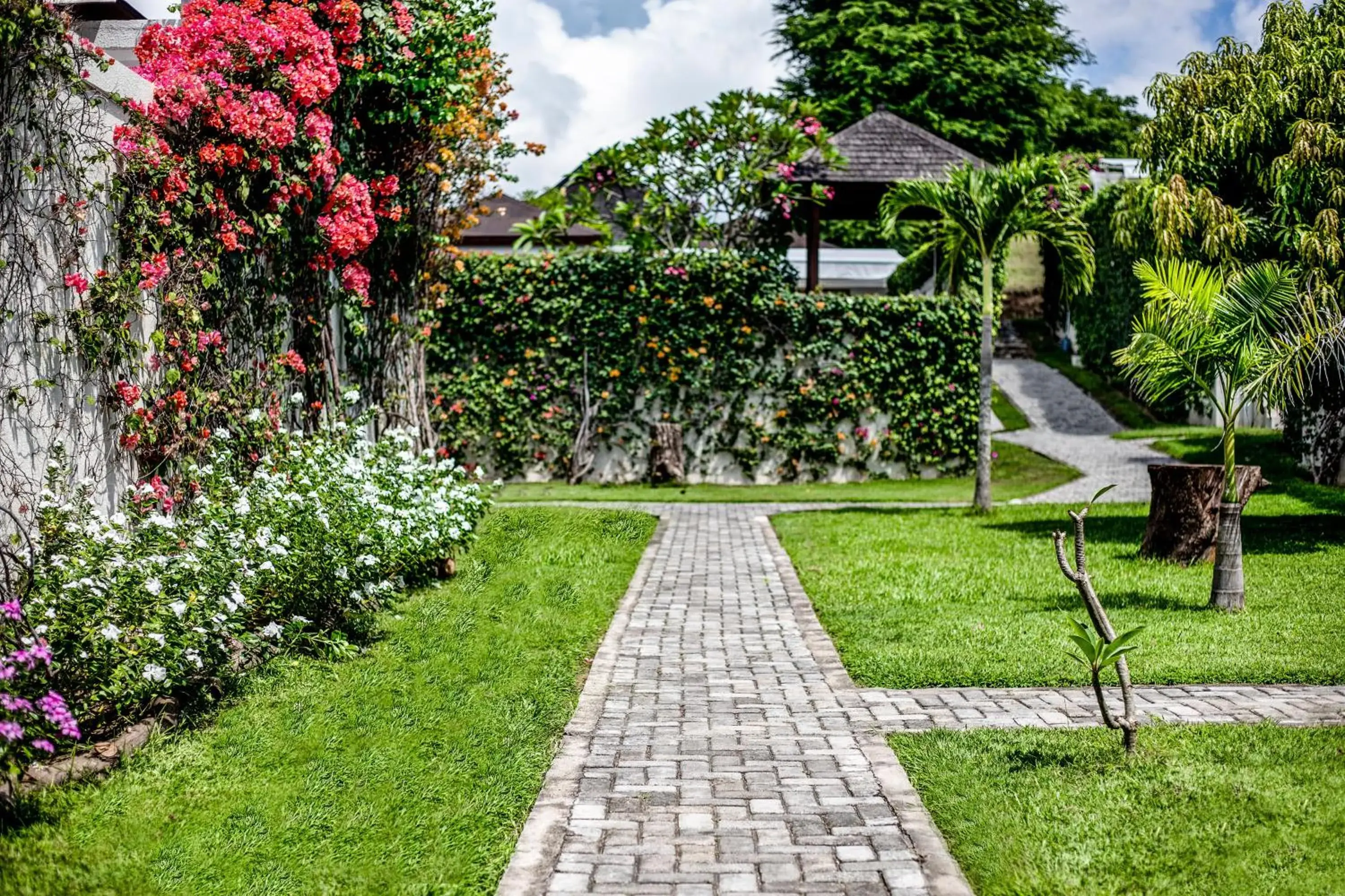 Garden view, Garden in Kokomo Resort Gili Gede