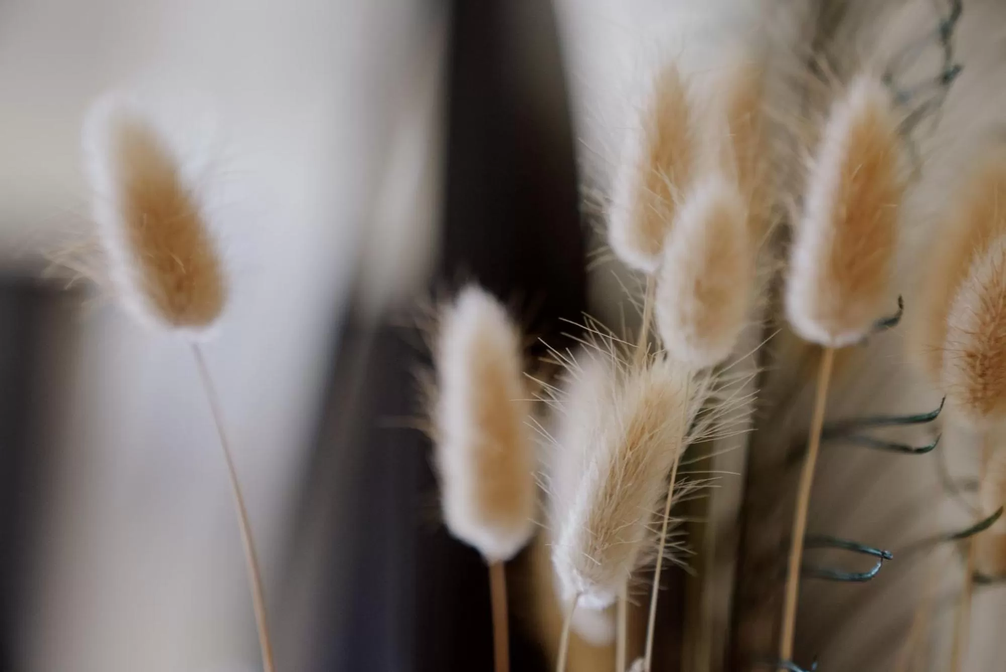 Bedroom in ROH Suites