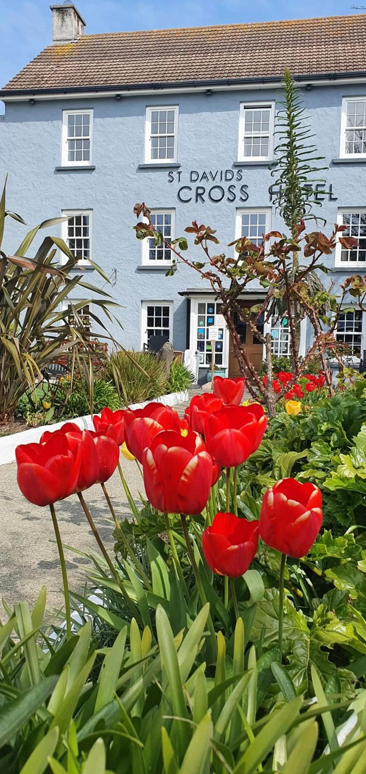 Property building in St. Davids Cross Hotel