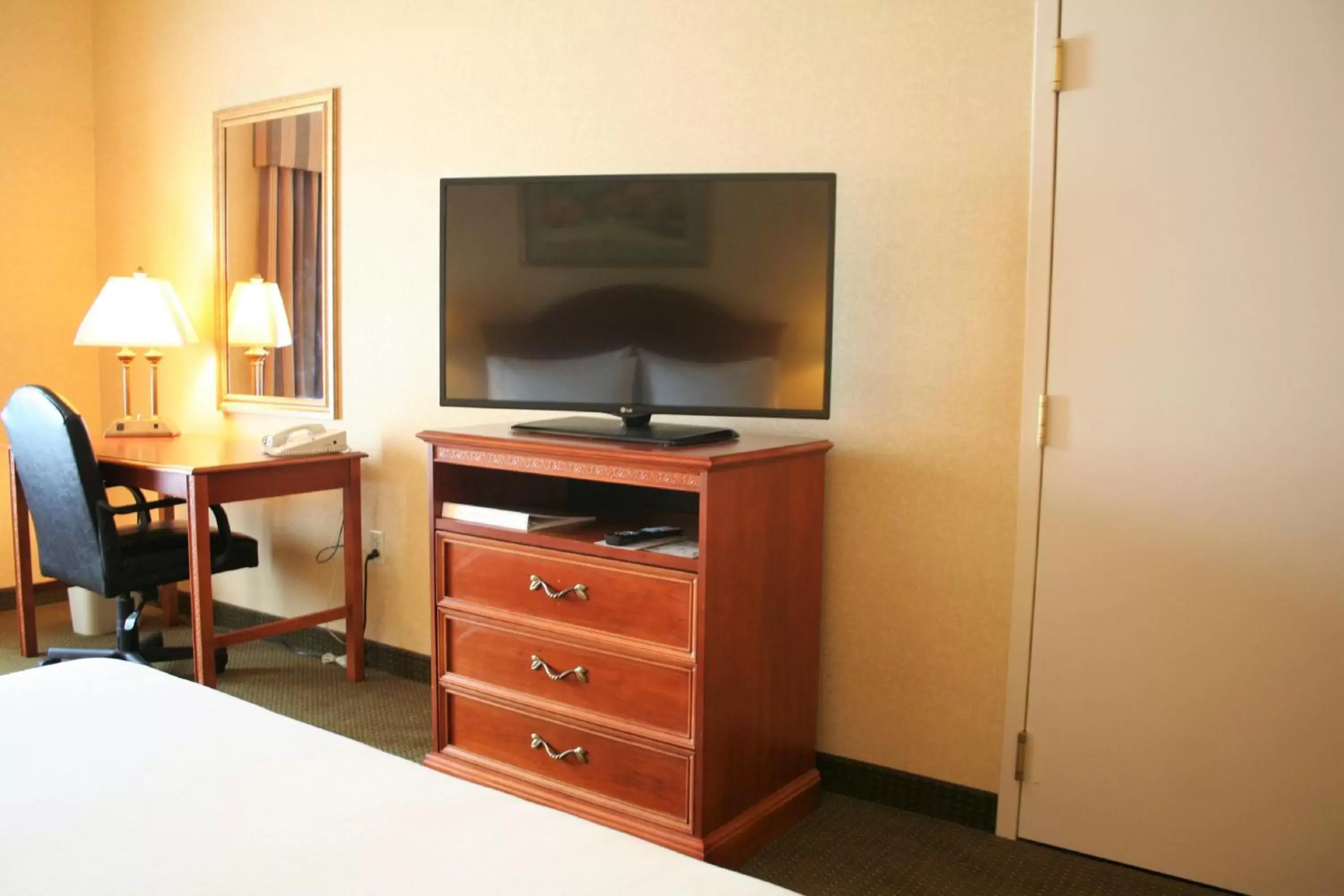 Photo of the whole room, TV/Entertainment Center in Holiday Inn Express Hotel & Suites Drums-Hazelton, an IHG Hotel