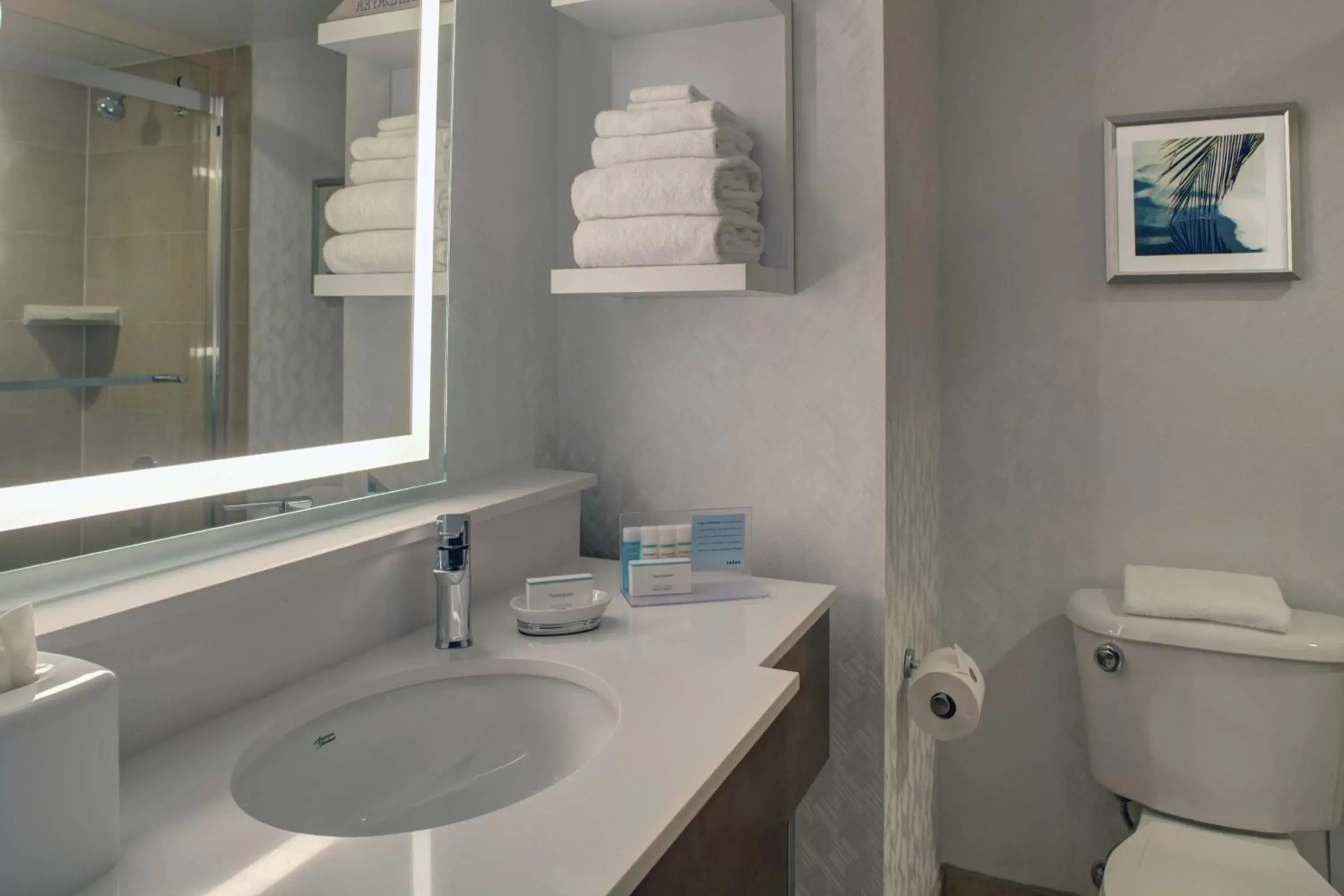 Bathroom in Hampton Inn & Suites Miami Airport South/Blue Lagoon
