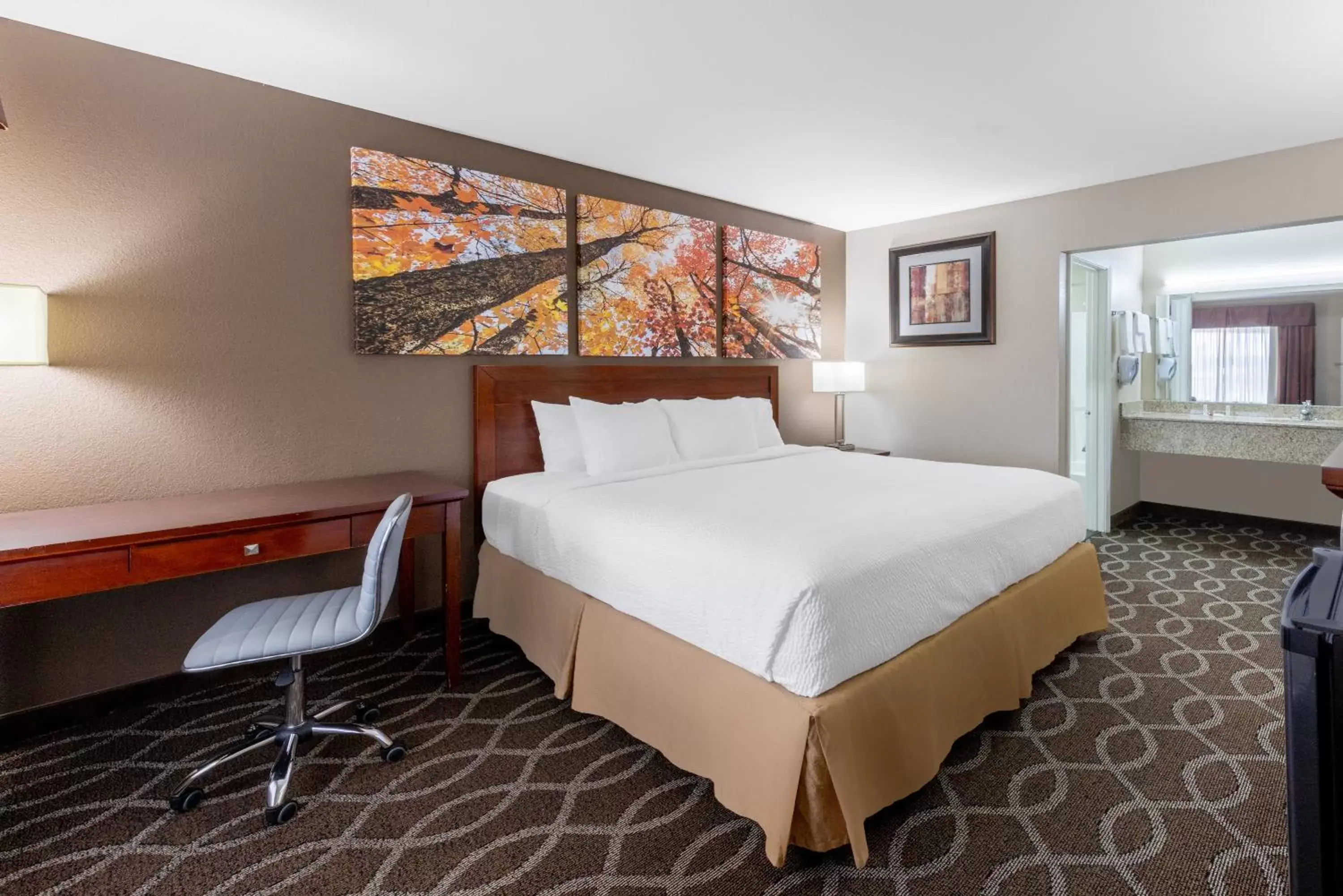 Bed in Days Inn by Wyndham St. Robert Waynesville/Ft. Leonard Wood Bed in Days Inn by Wyndham St. Robert Waynesville/Ft. Leonard Wood