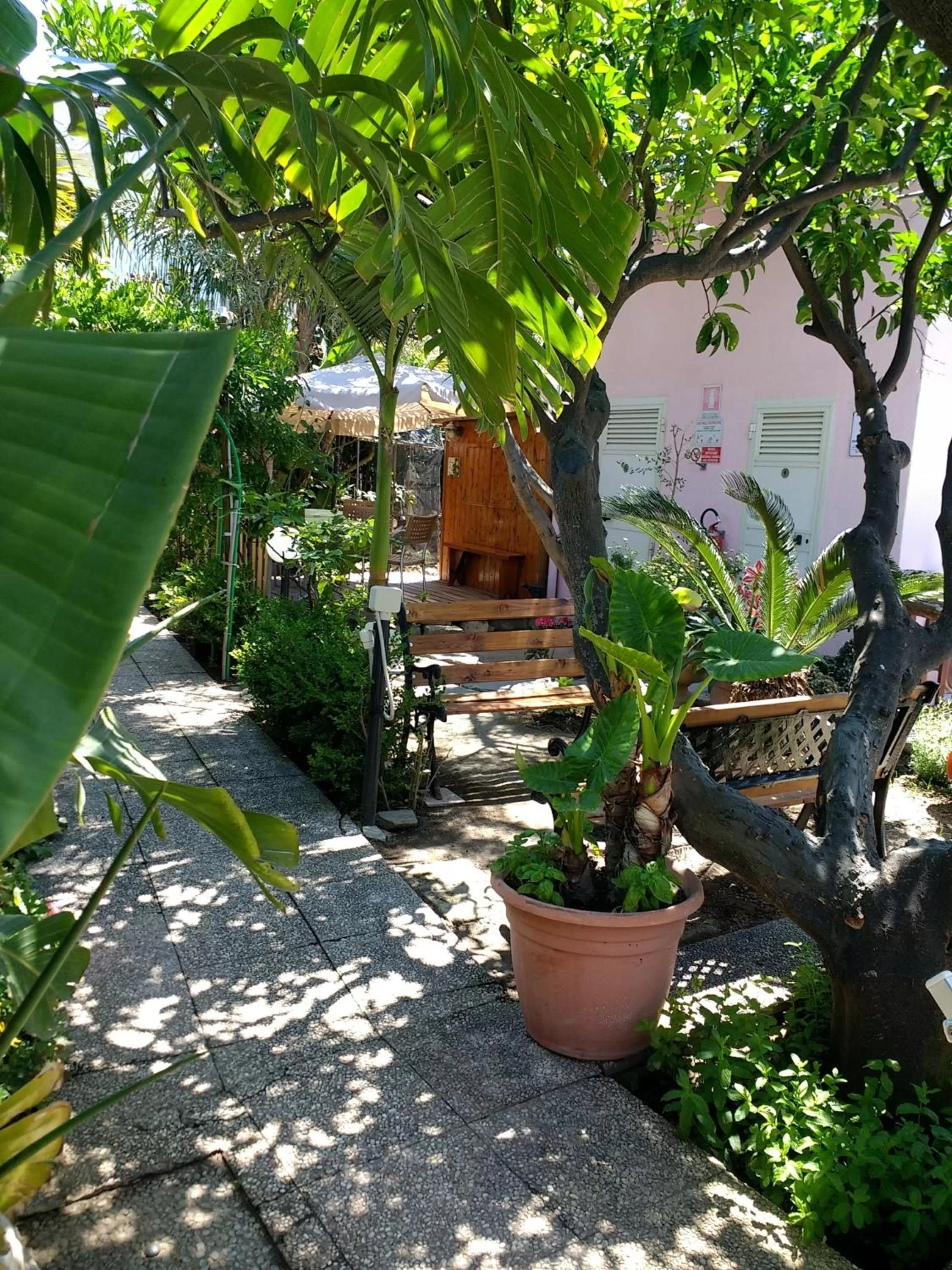 Swimming pool in Hotel Casa Nicola
