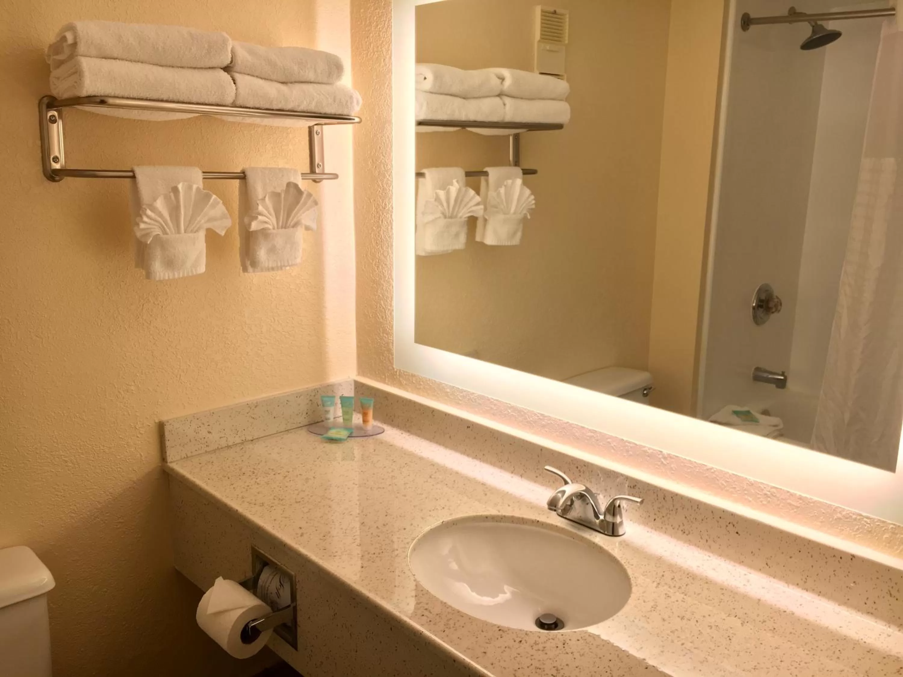 Bathroom in Floridian Express International Drive