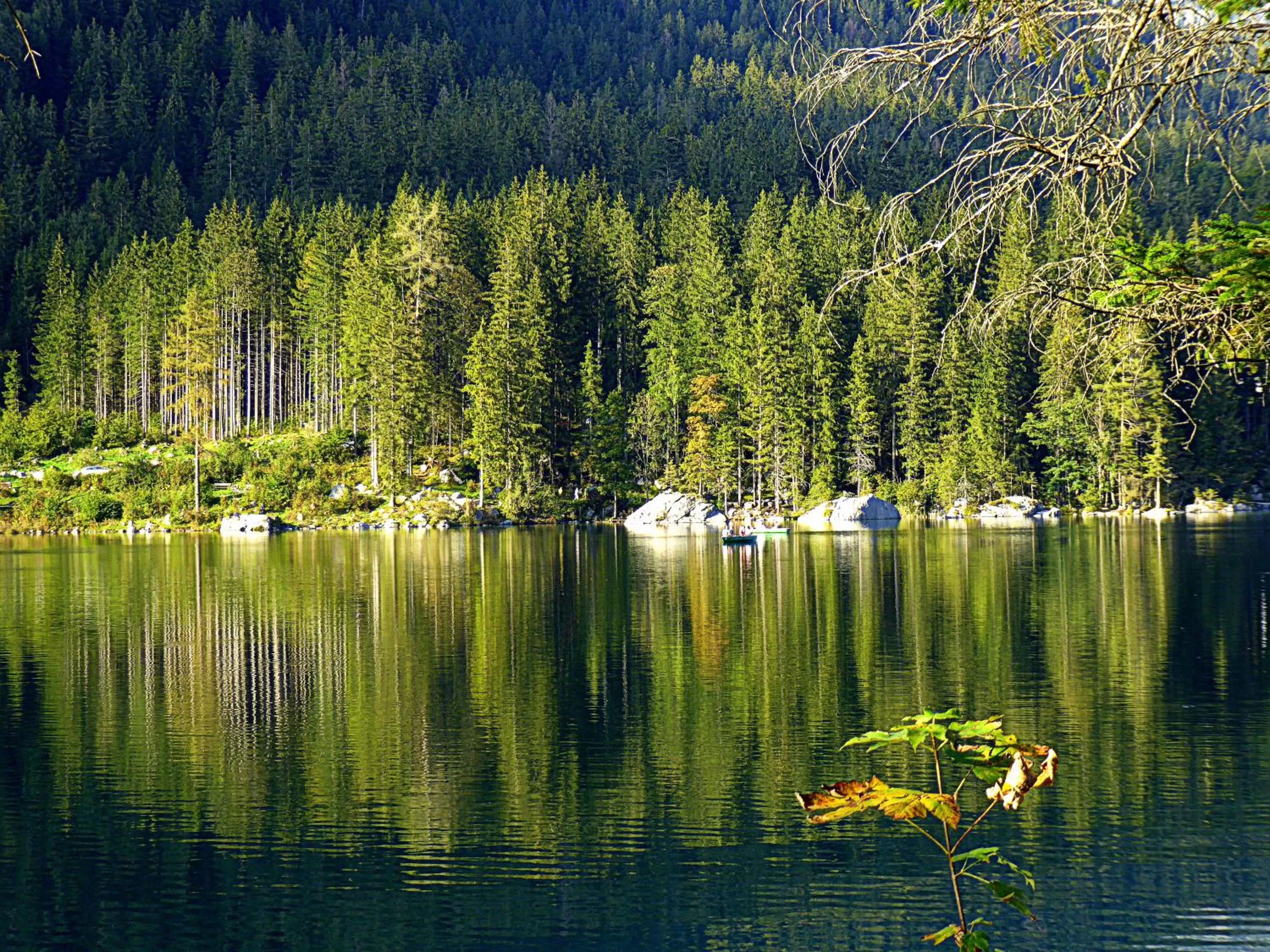 Spring in Gästehaus Inzeller Hof