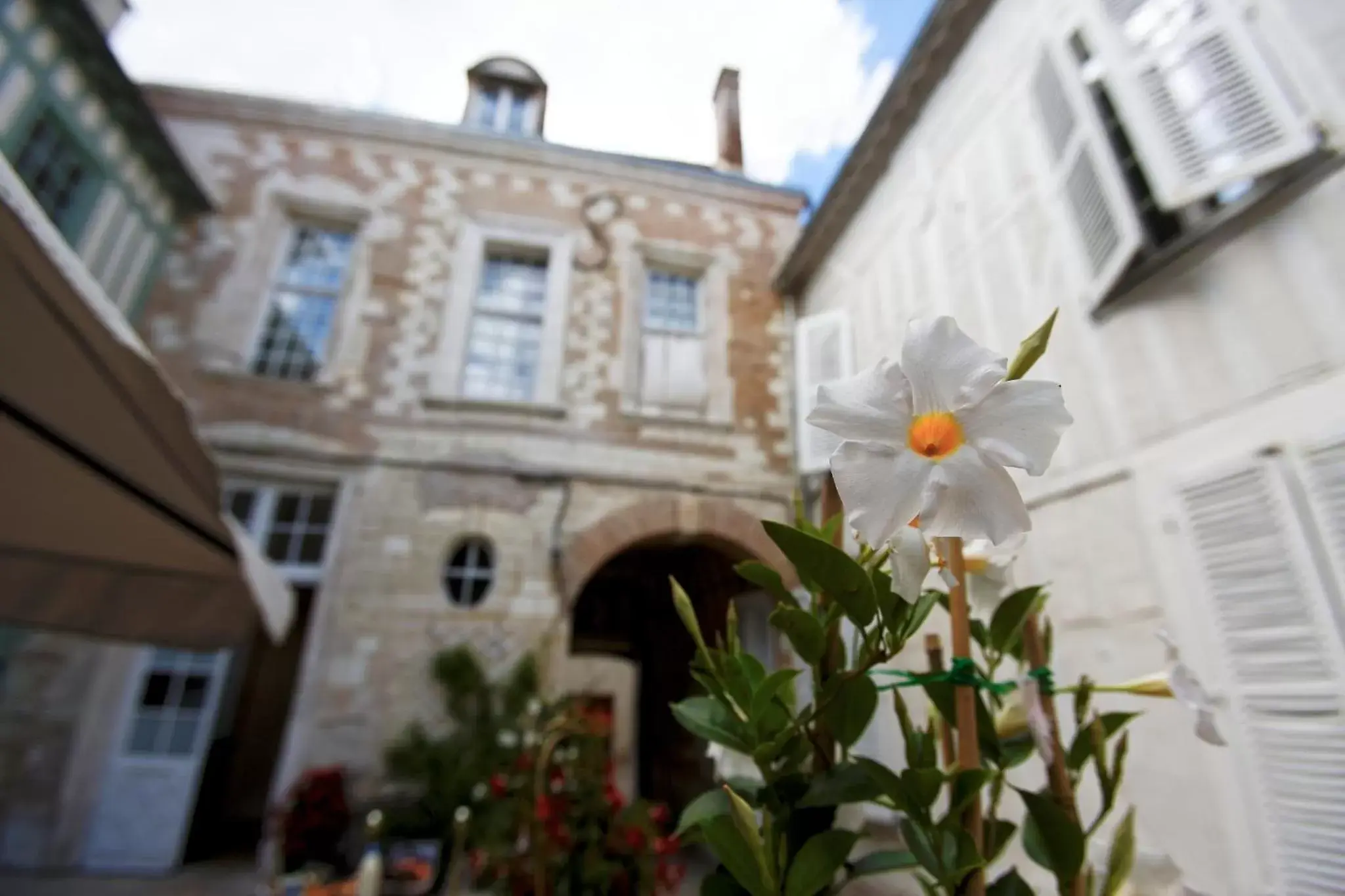 Decorative detail, Property Building in Hotel Saint Georges