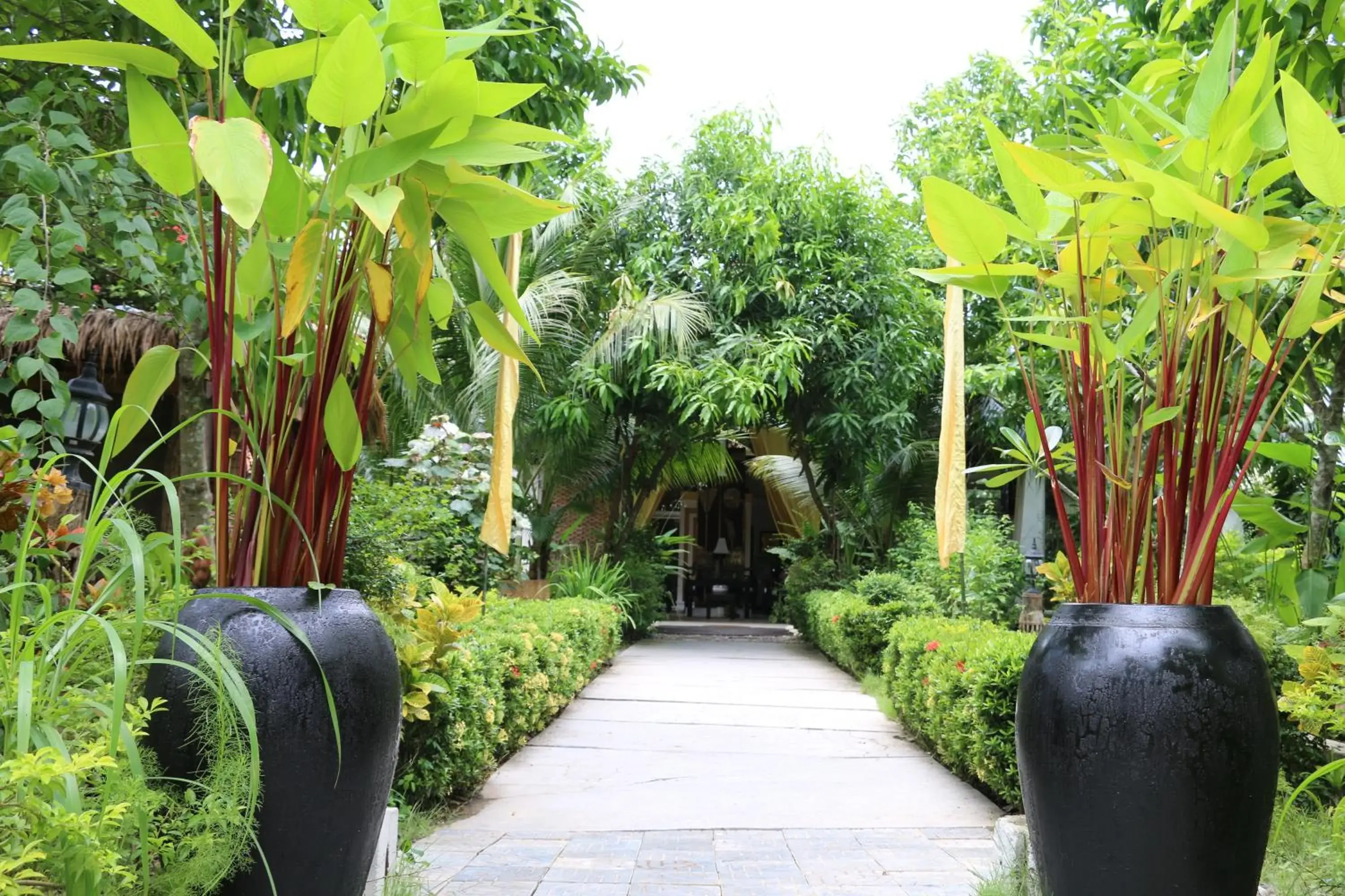 Garden view, Garden in The Sanctuary Villa Battambang
