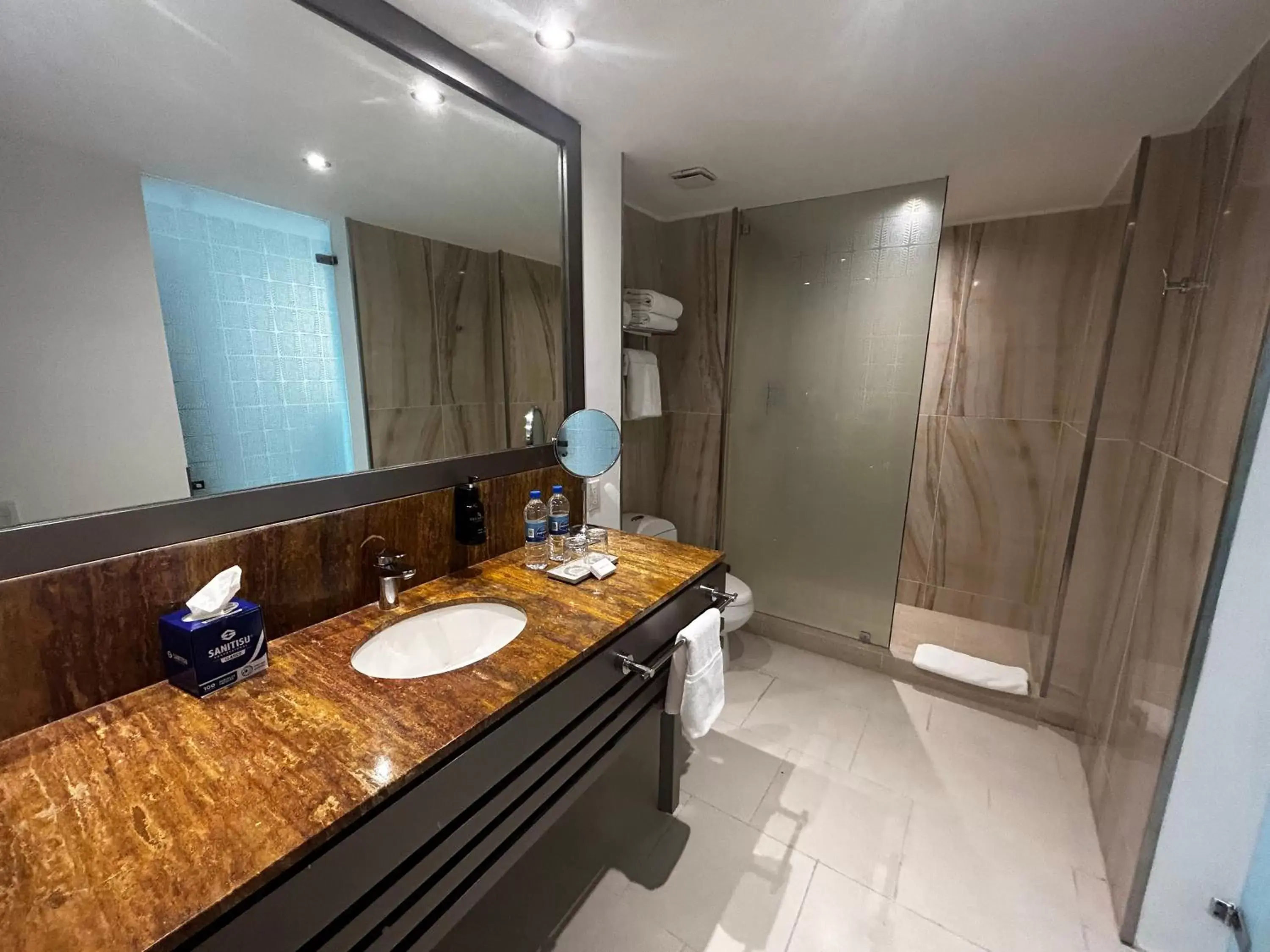 Shower, Bathroom in Decapolis Hotel Panama City