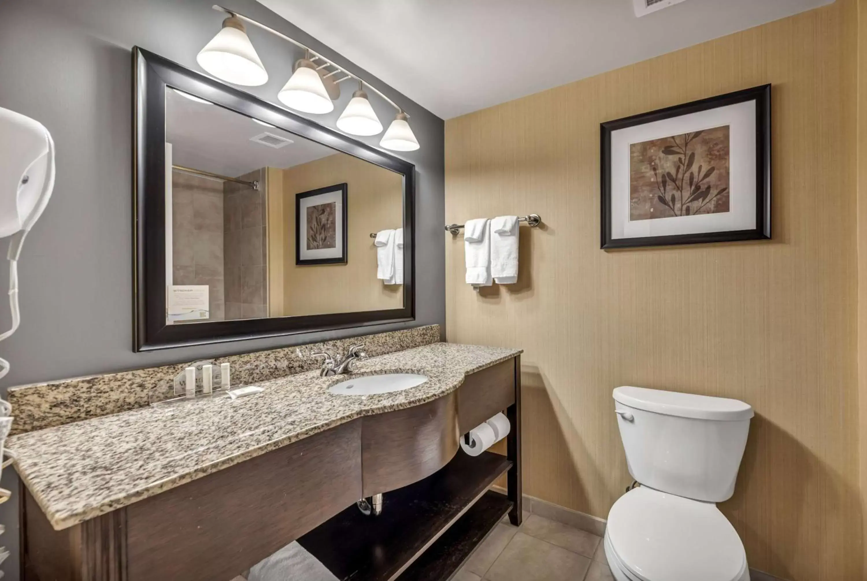 TV and multimedia, Bathroom in Wingate by Wyndham State Arena Raleigh/Cary Hotel