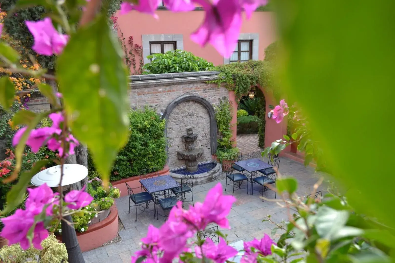 Patio in Hotel Casa Rosada - Adults Only