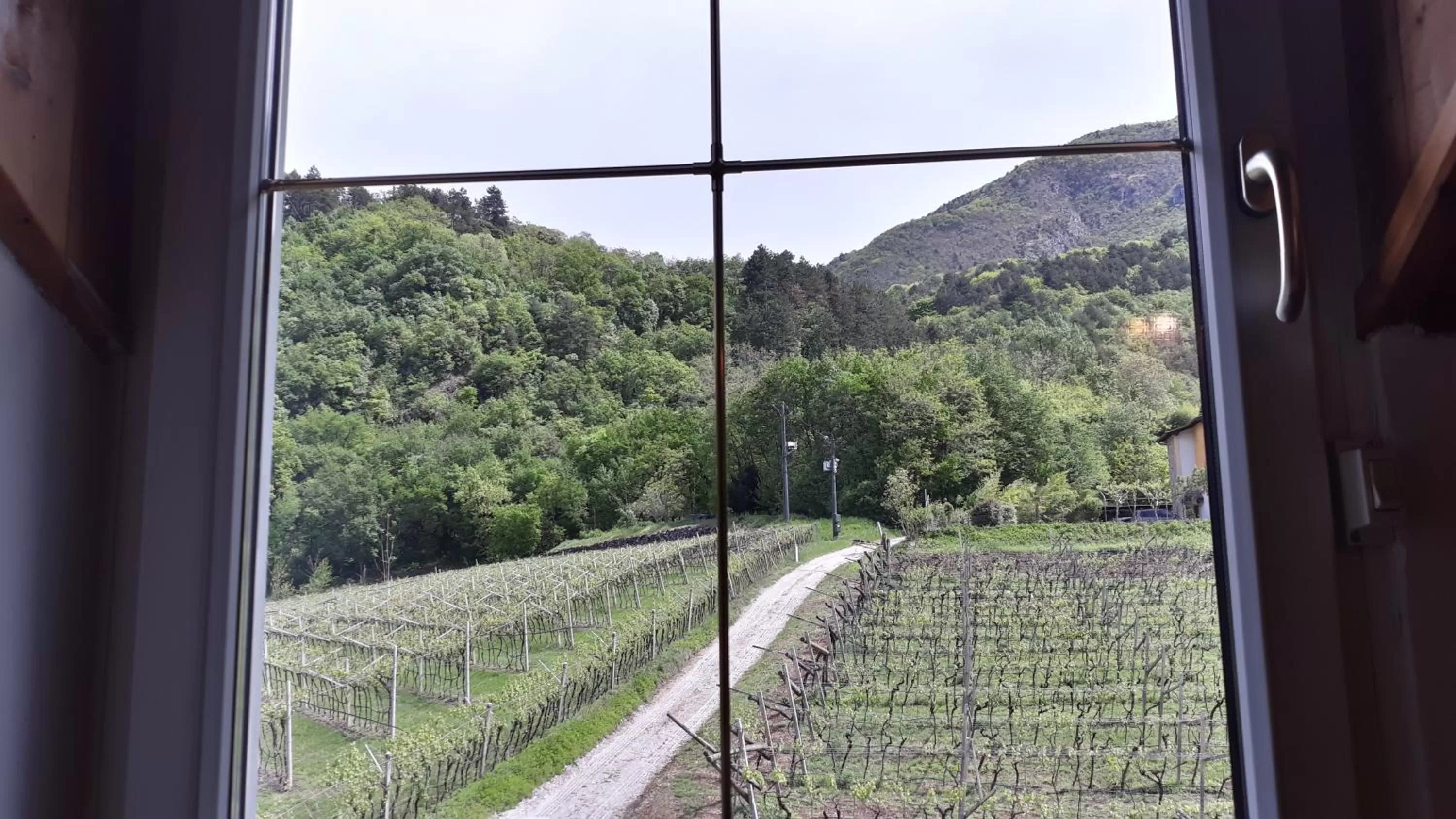 Mountain view in Hotel Karinhall