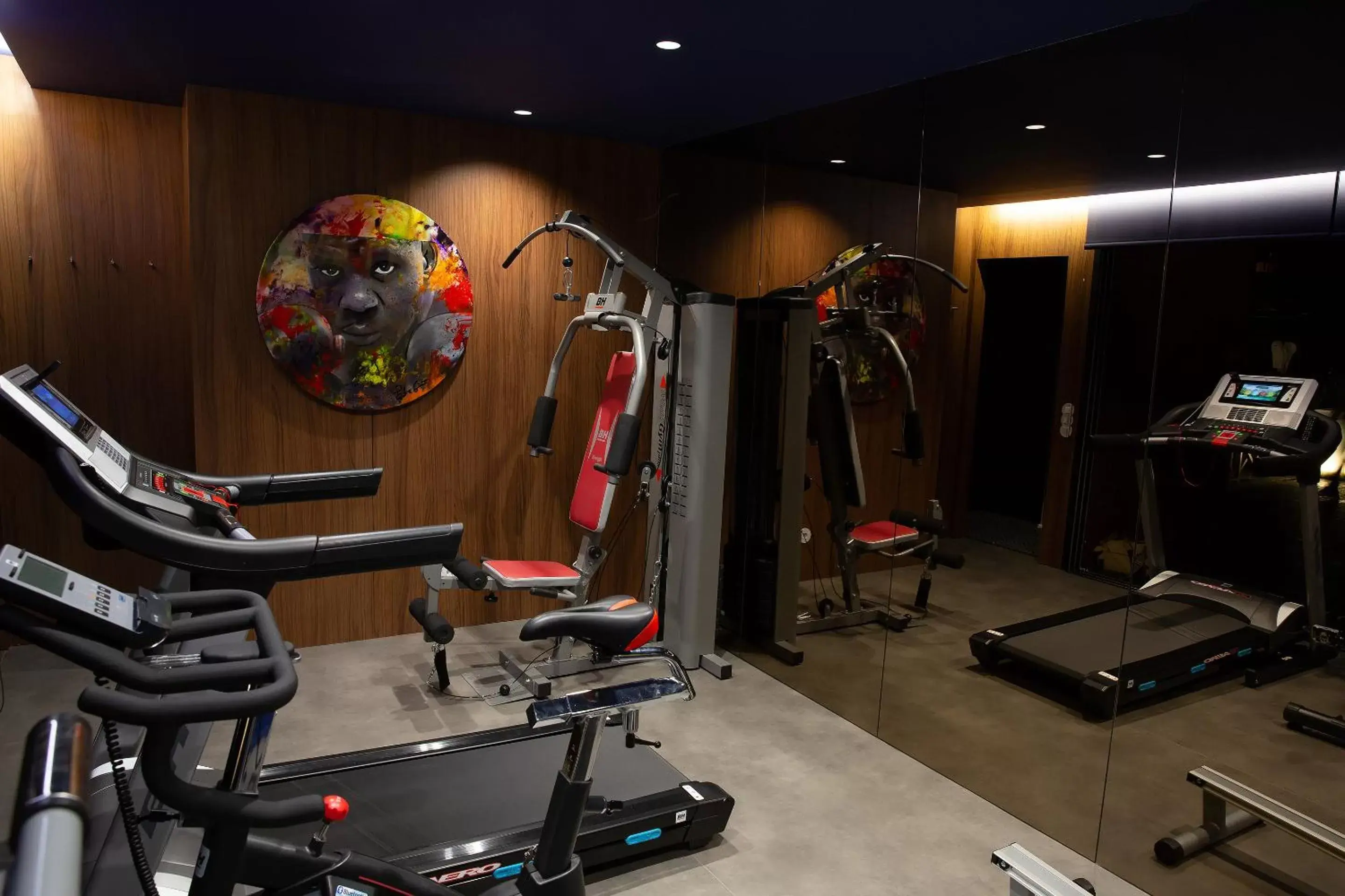 Fitness centre/facilities, Fitness Center/Facilities in Vale de São Torcato Hotel Rural