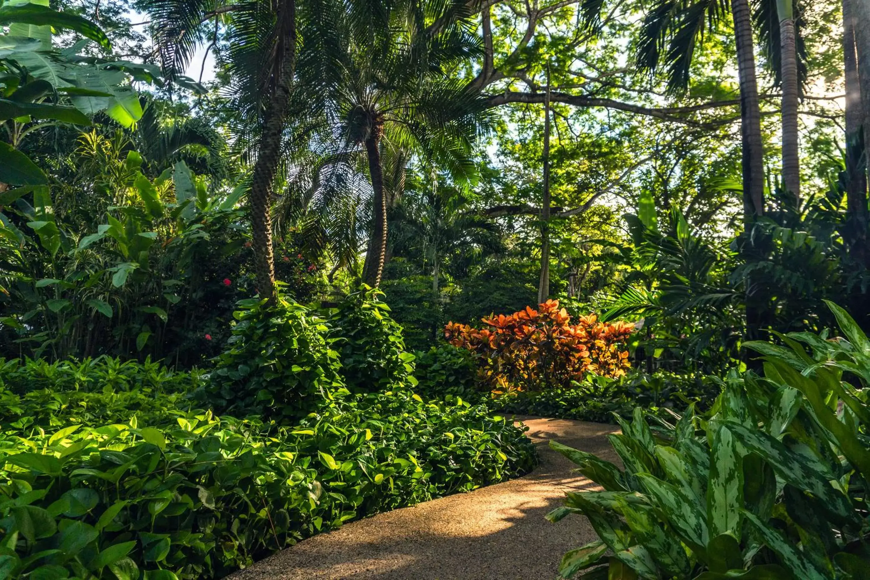 Garden in Capitán Suizo Beachfront Boutique Hotel