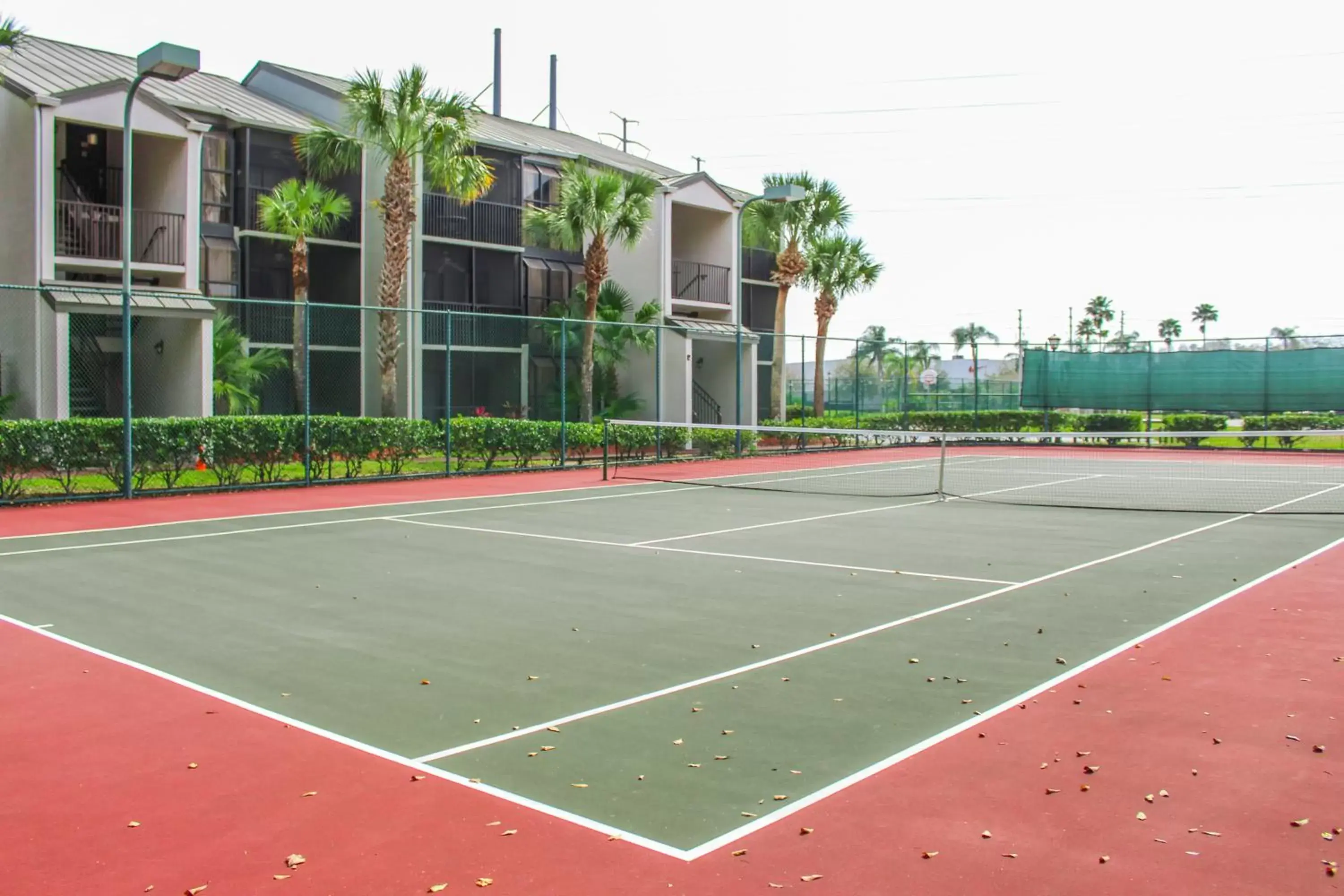Tennis/Squash in Parkway International Resort