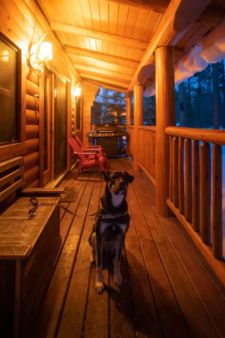 Balcony/Terrace in Baker Creek By Basecamp