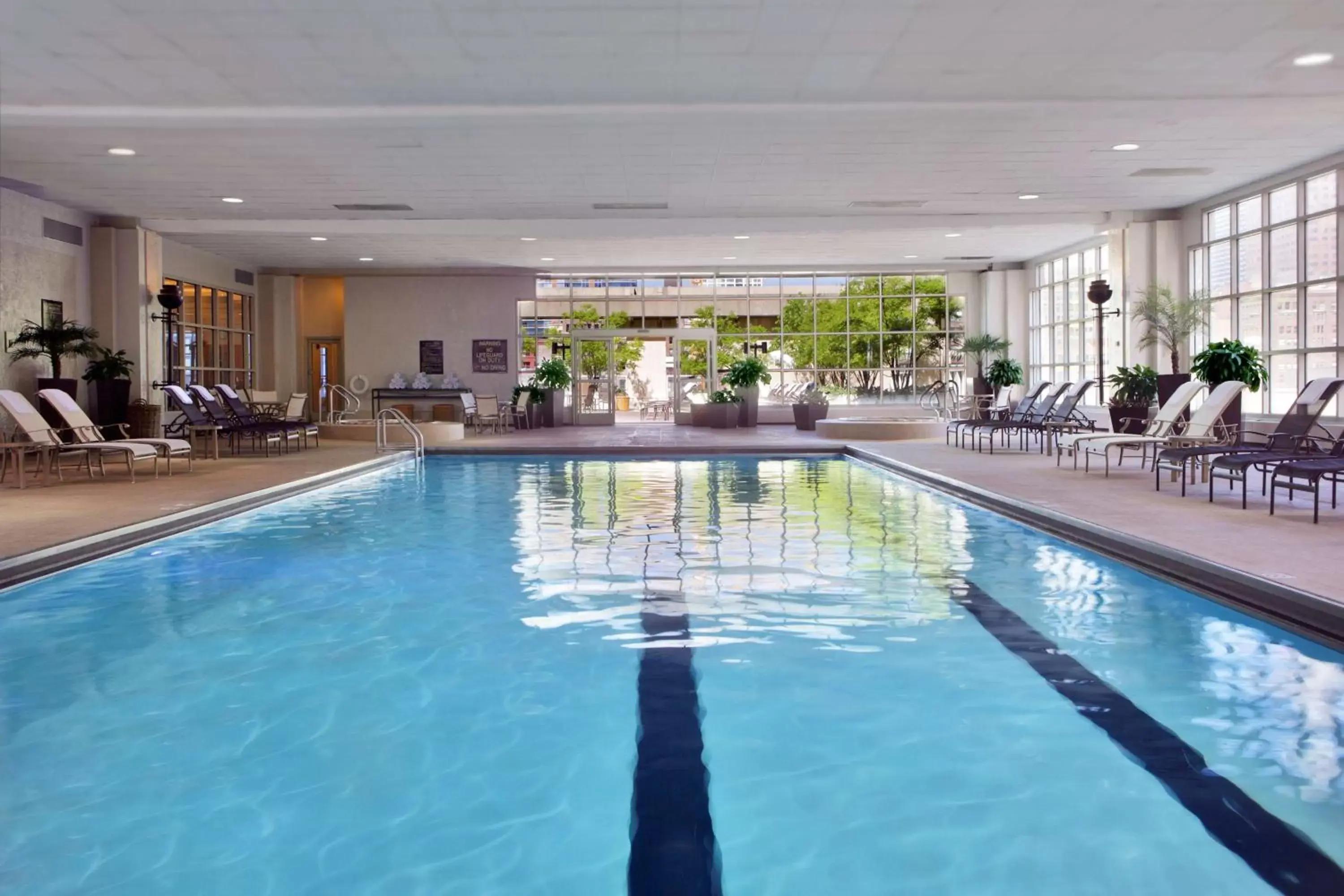 Pool view, Swimming Pool in Hilton Chicago