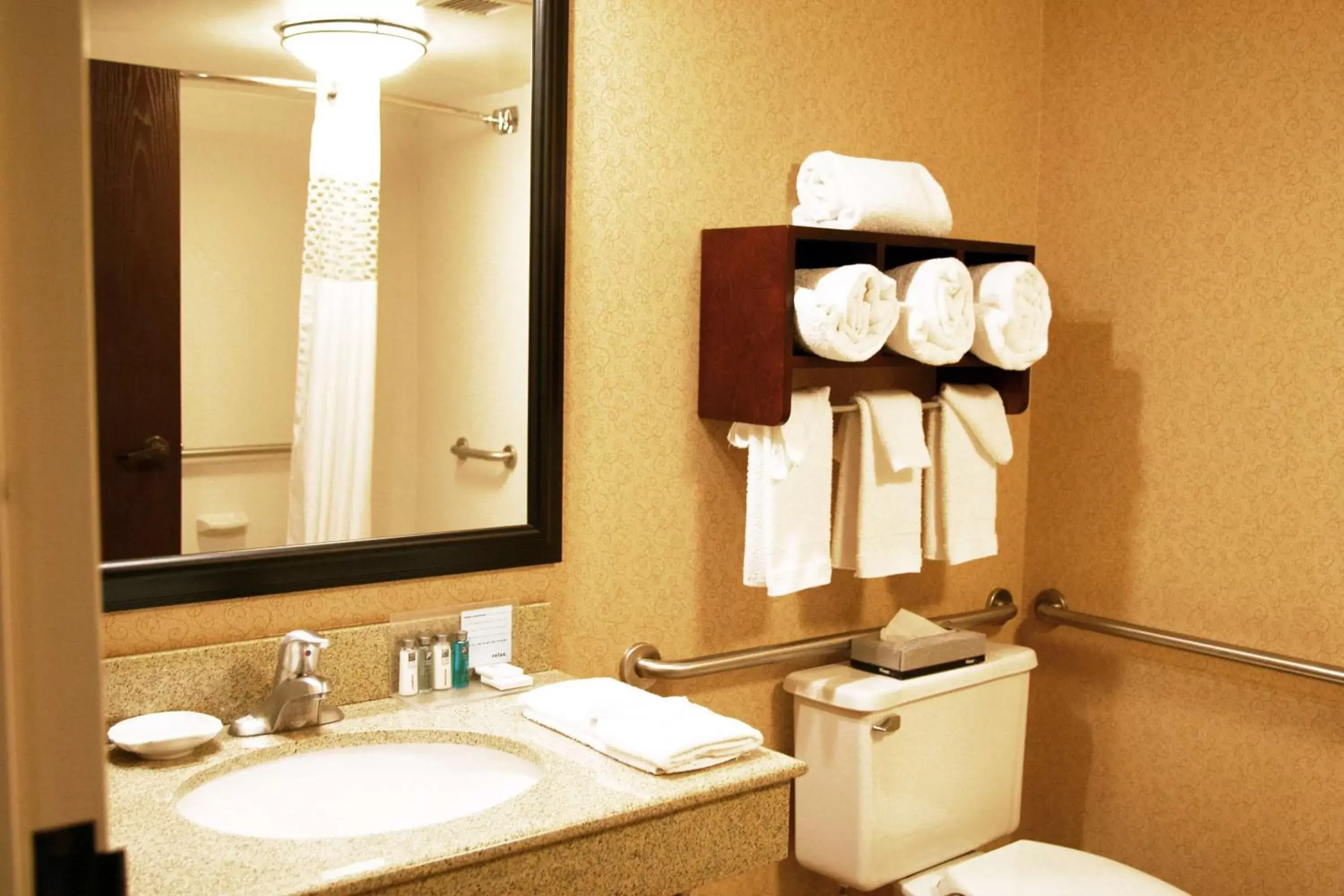 Bathroom in Hampton Inn Somerset