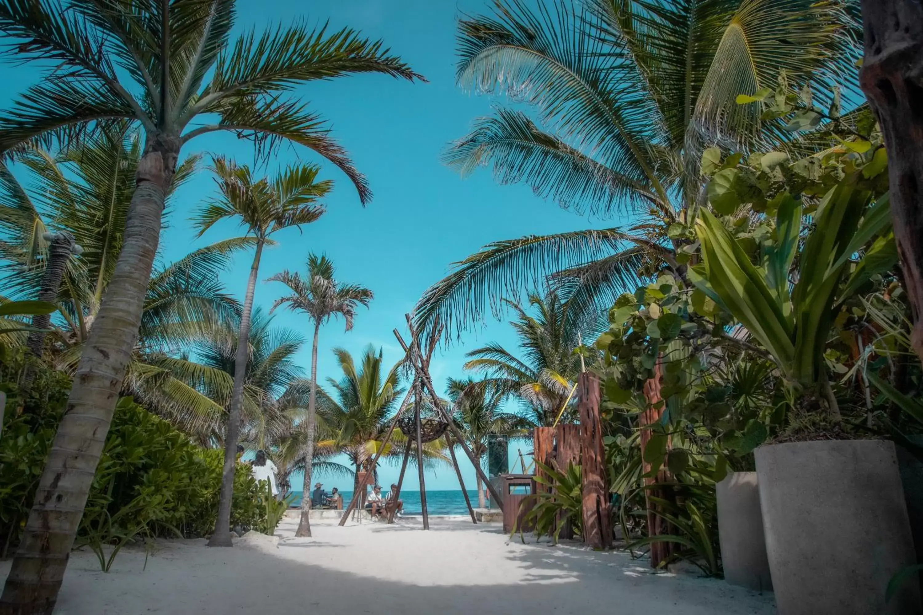 Beach in Selina Tulum