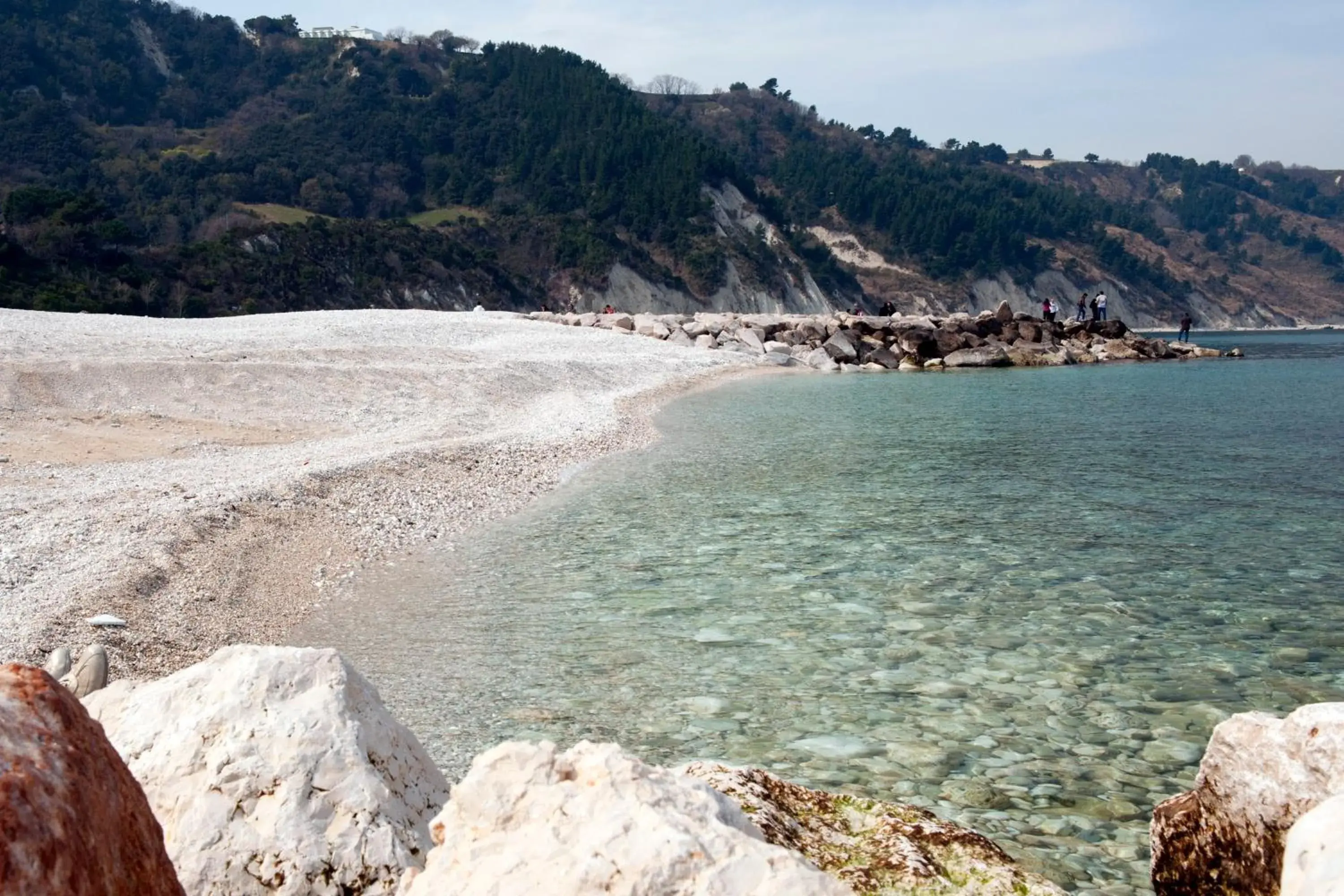 Area and facilities, Beach in Hotel Emilia