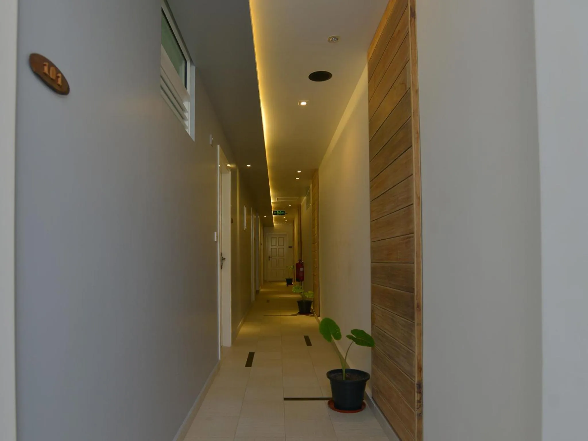 Property building in Coconut Tree Hulhuvilla Beach