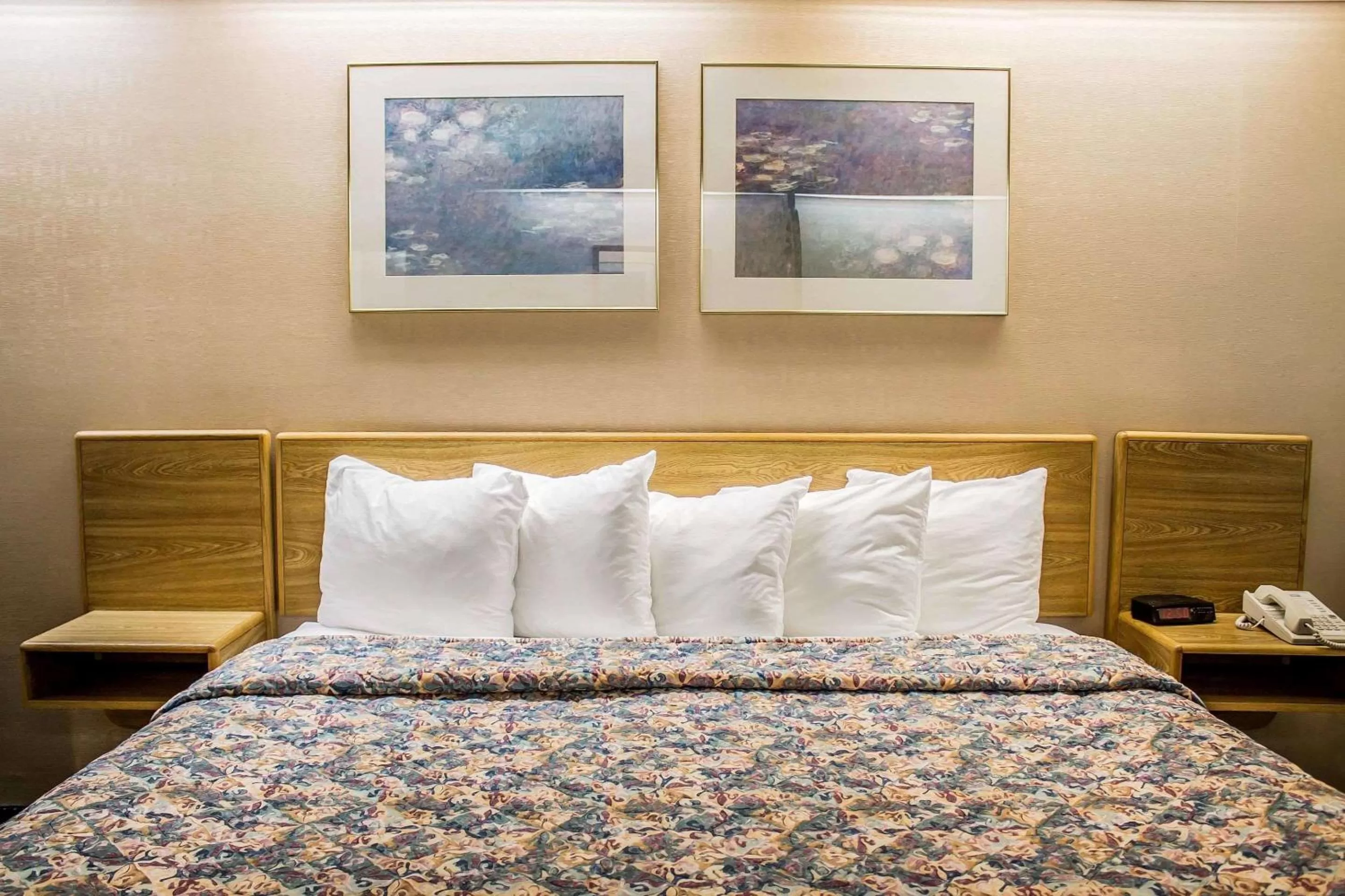 Photo of the whole room, Bed in Rodeway Inn Abbotsford