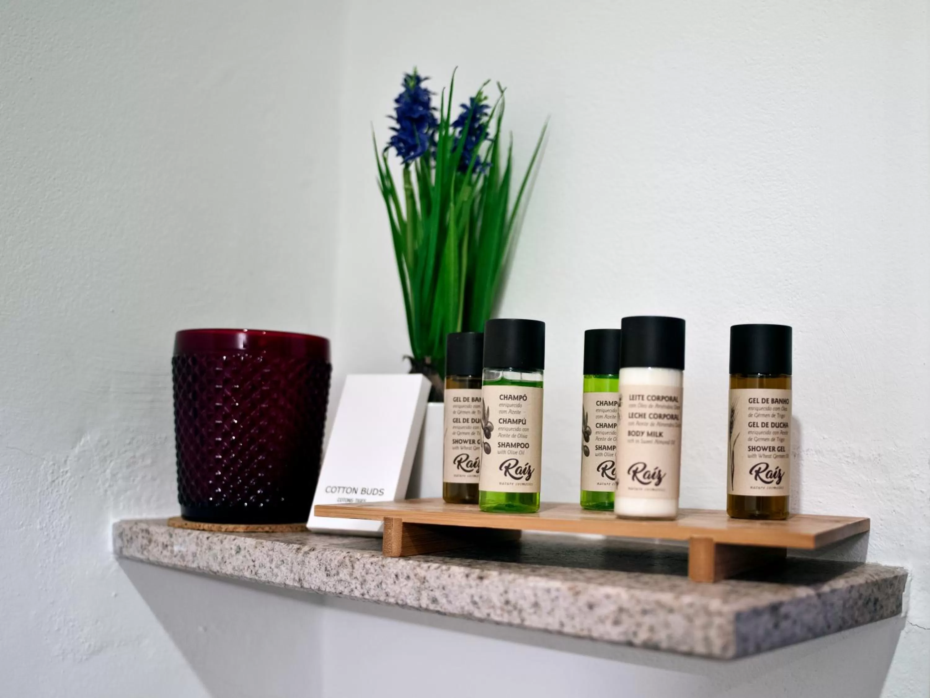 Toilet in Dom Dinis Marvão