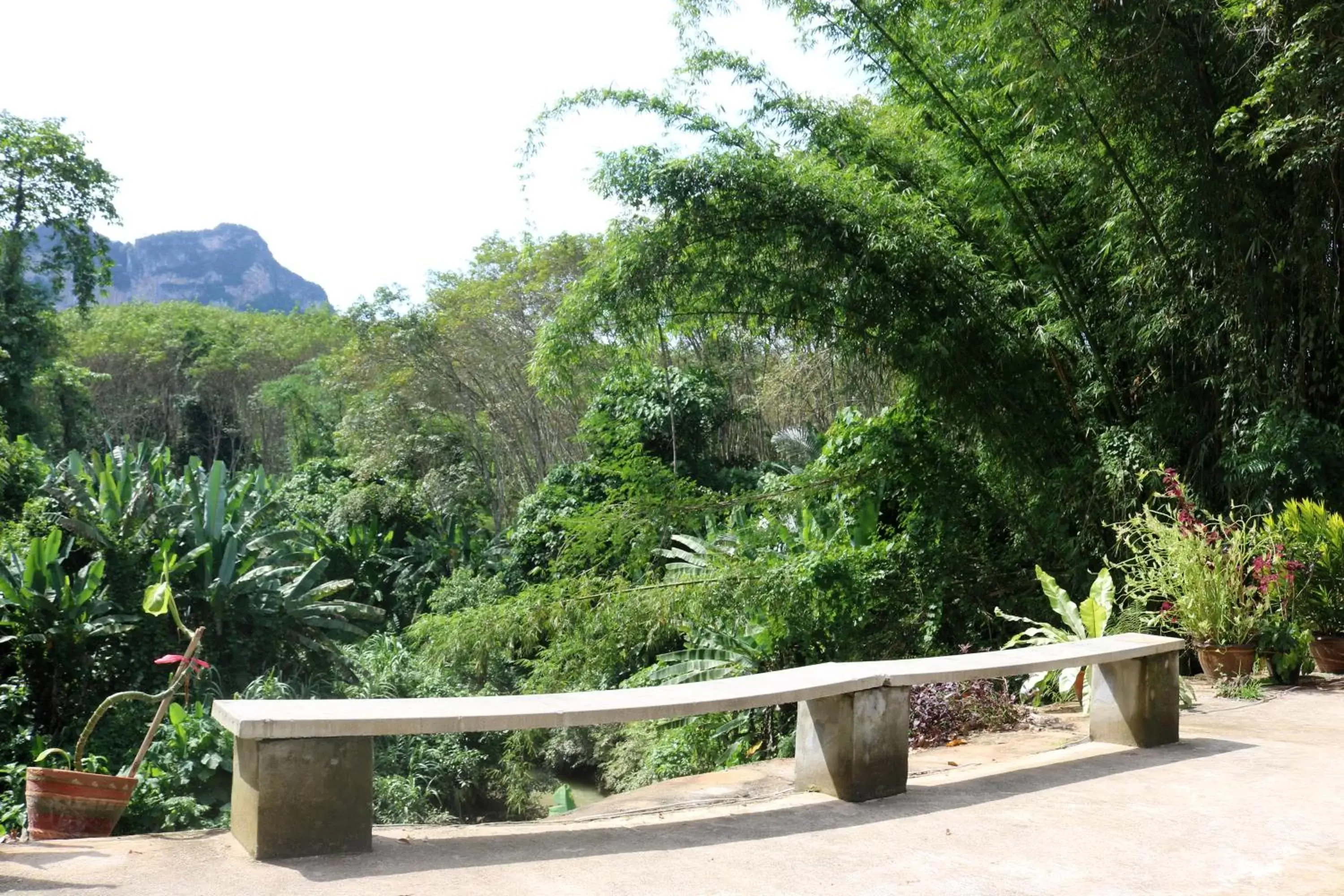 View (from property/room) in Khao Sok River Home Resort View (from property/room) in Khao Sok River Home Resort