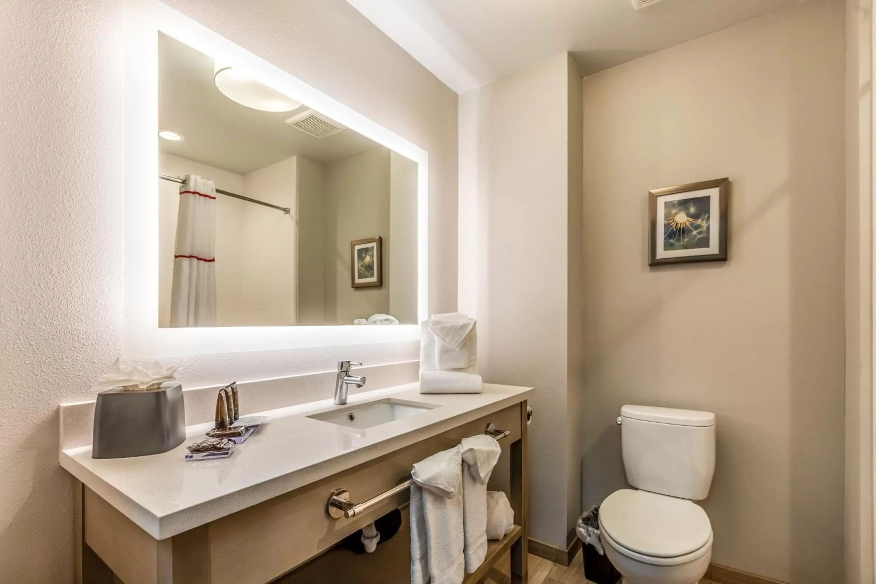 Shower, Bathroom in Hawthorn Suites by Wyndham Loveland