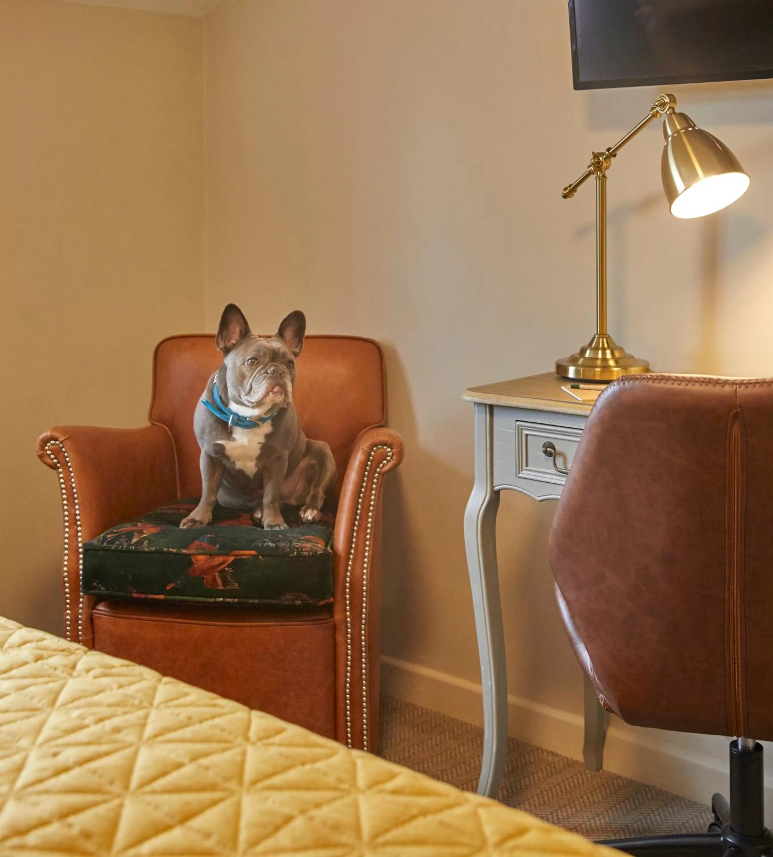 Pets in Full Moon Inn Rudge