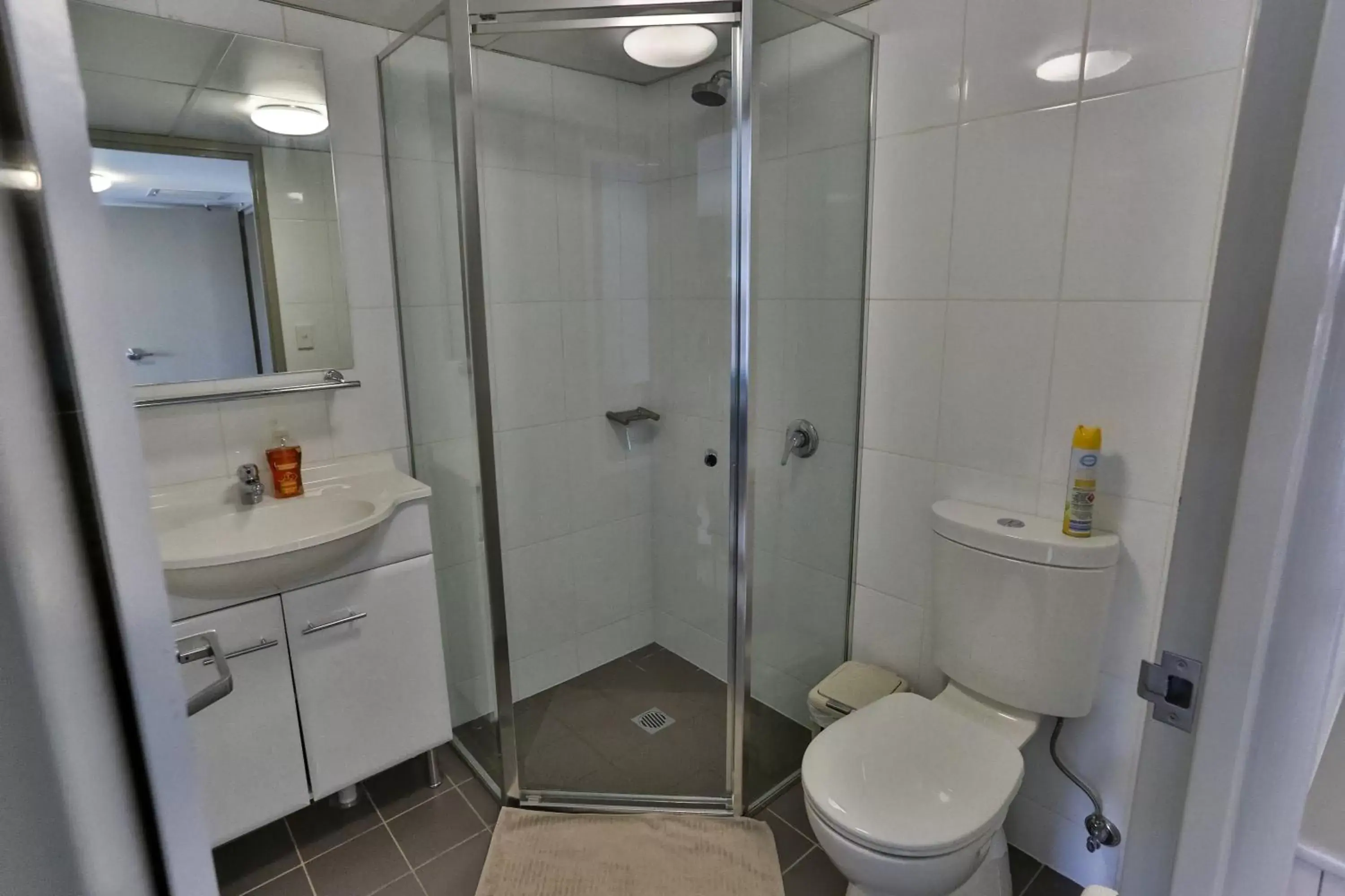 Shower, Bathroom in Strathfield Executive Accommodation