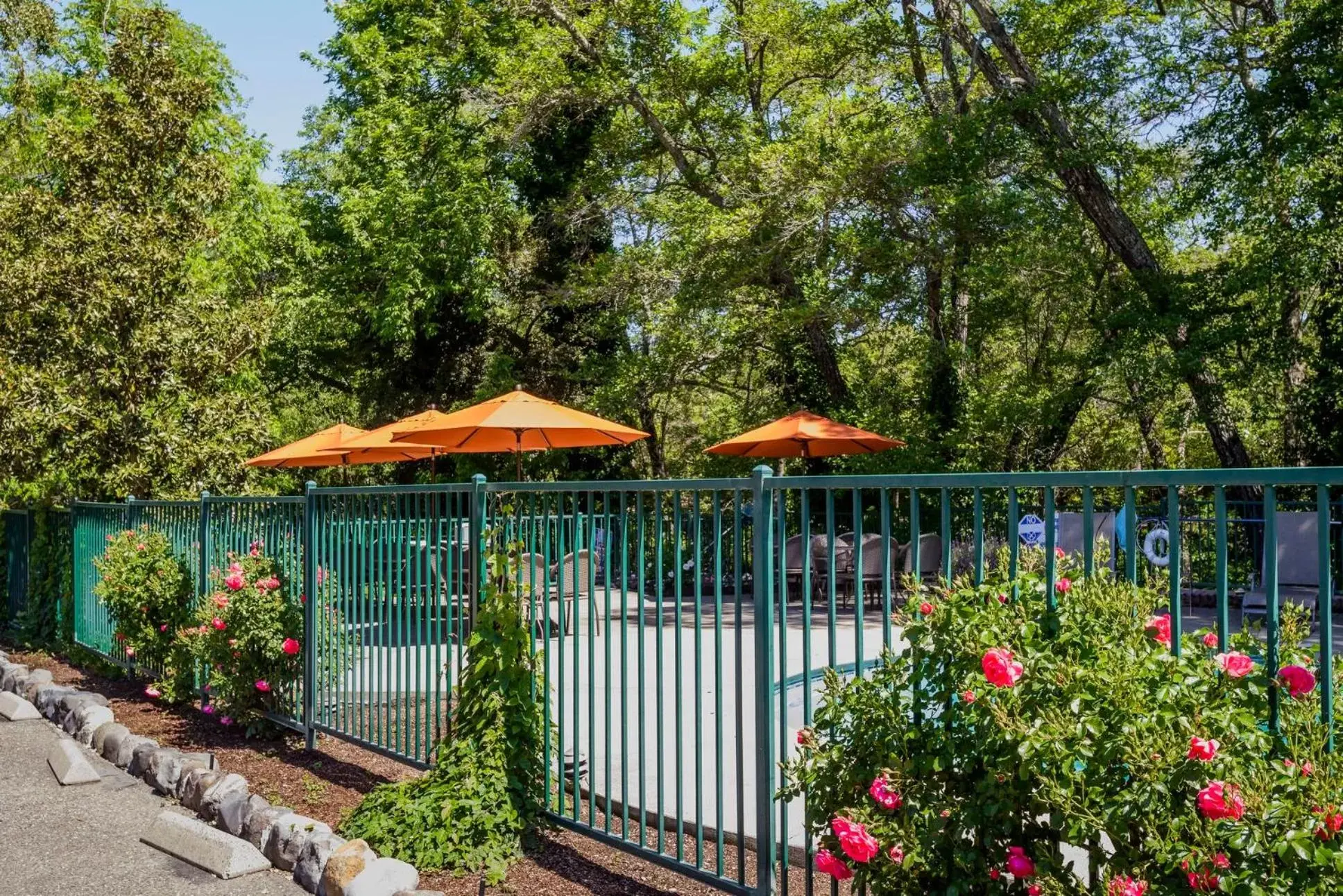 Swimming pool in The Jack London Lodge