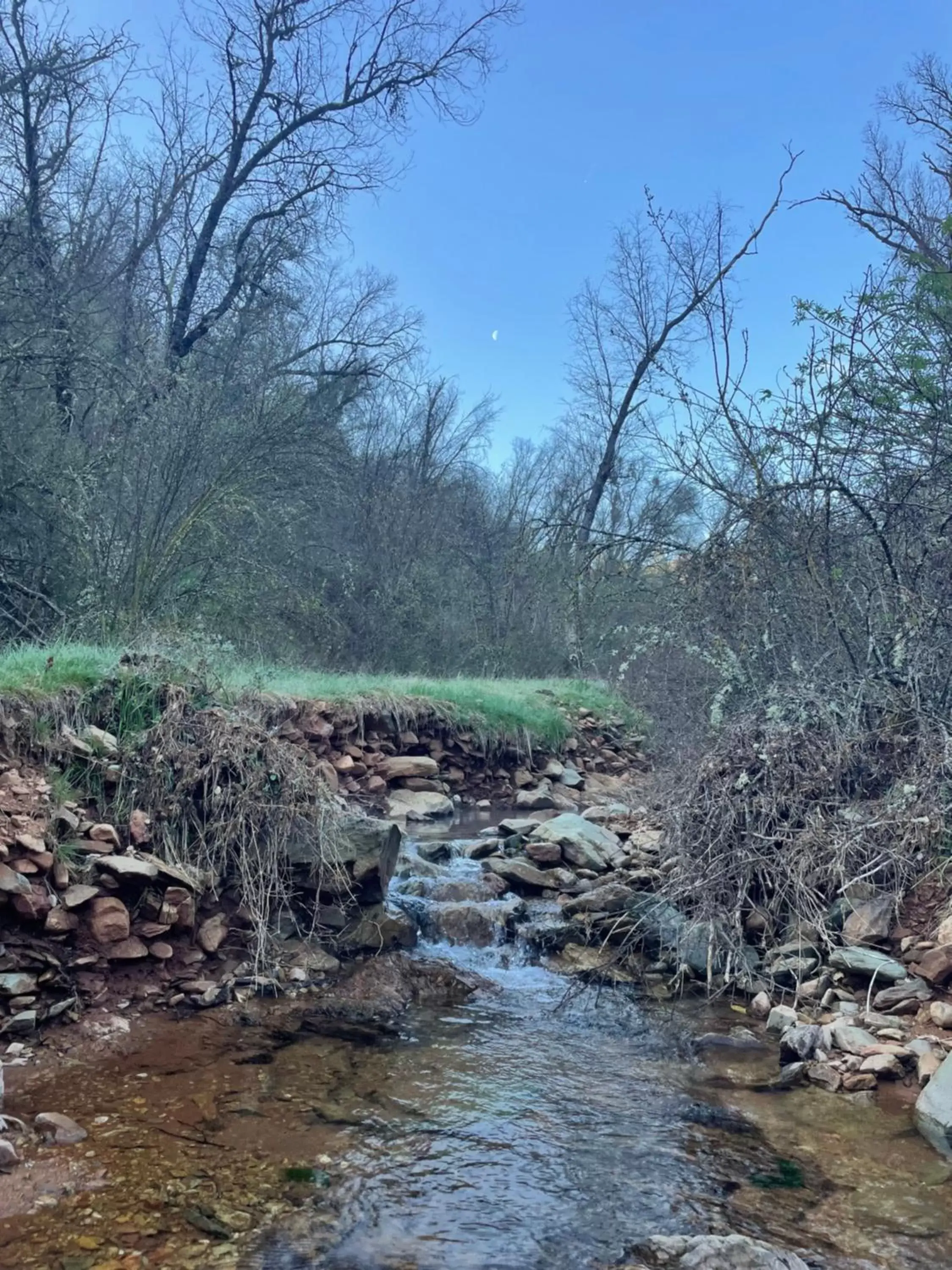 Natural Landscape in Bear Creek Cabins