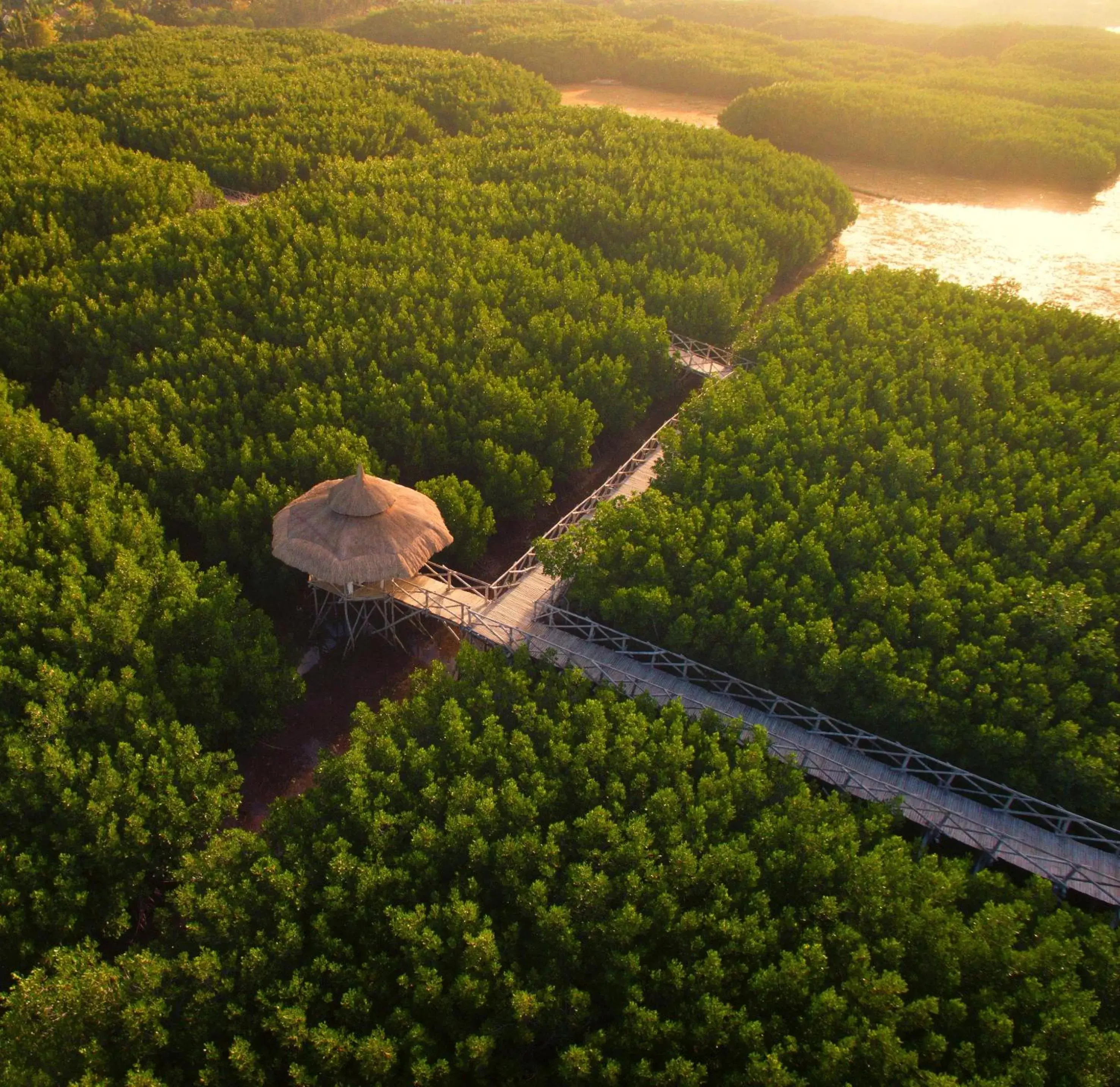 Natural landscape, Bird's-eye View in North Zen Villas