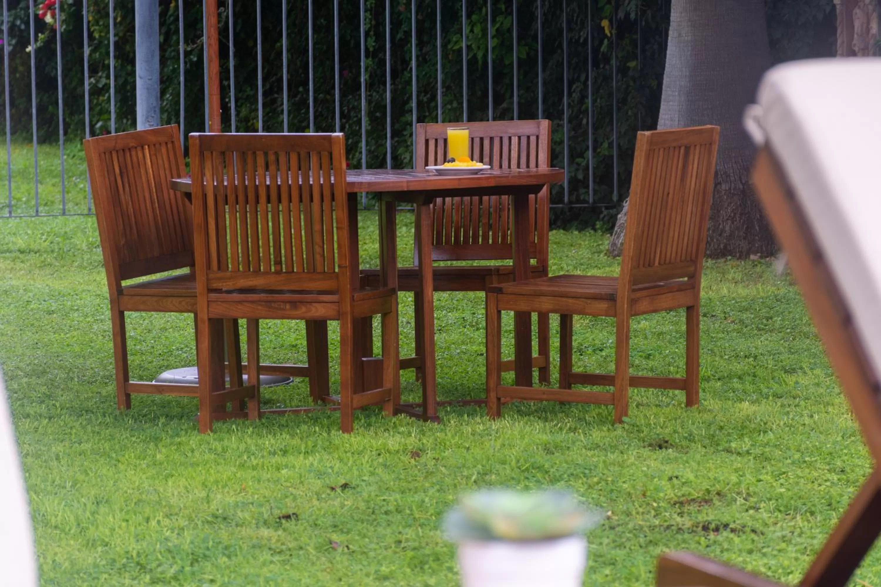 Area and facilities in Hotel Flamingo Inn