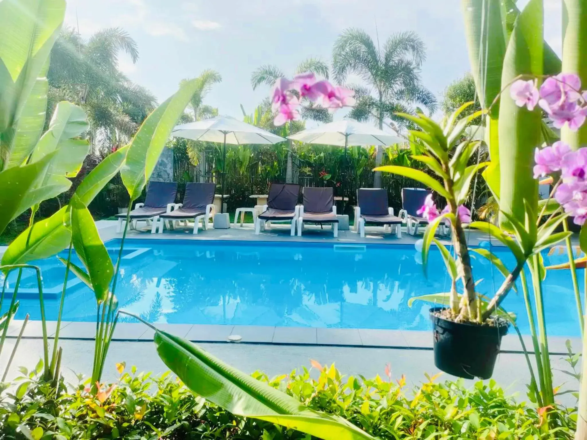 Swimming Pool in Andawa Lanta Resort